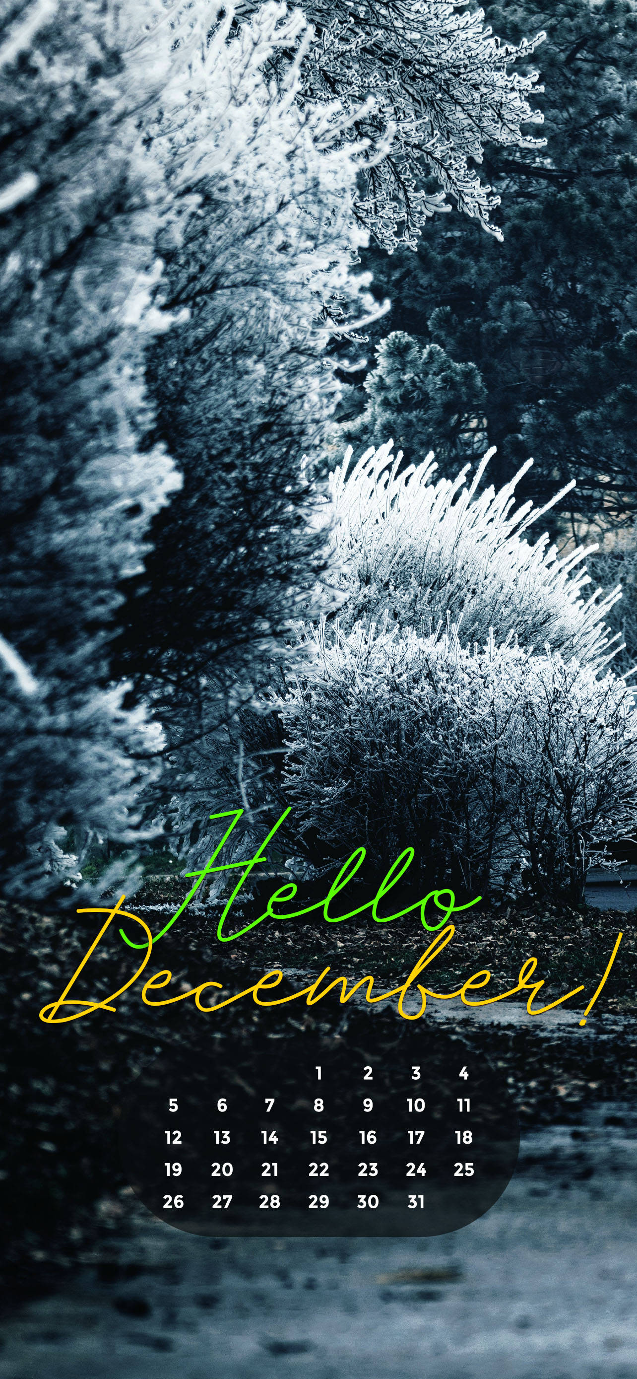 December 2021 Hvid jul Wallpapers