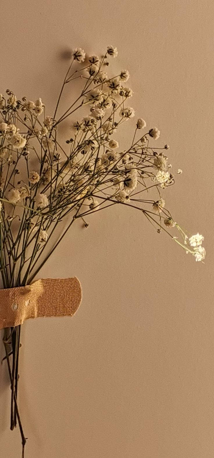 Delikat blomst beige æstetik Wallpapers
