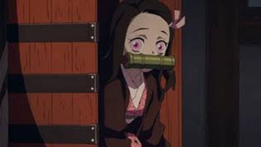 Demon Slayer Nezuko Ny Kurv Wallpapers