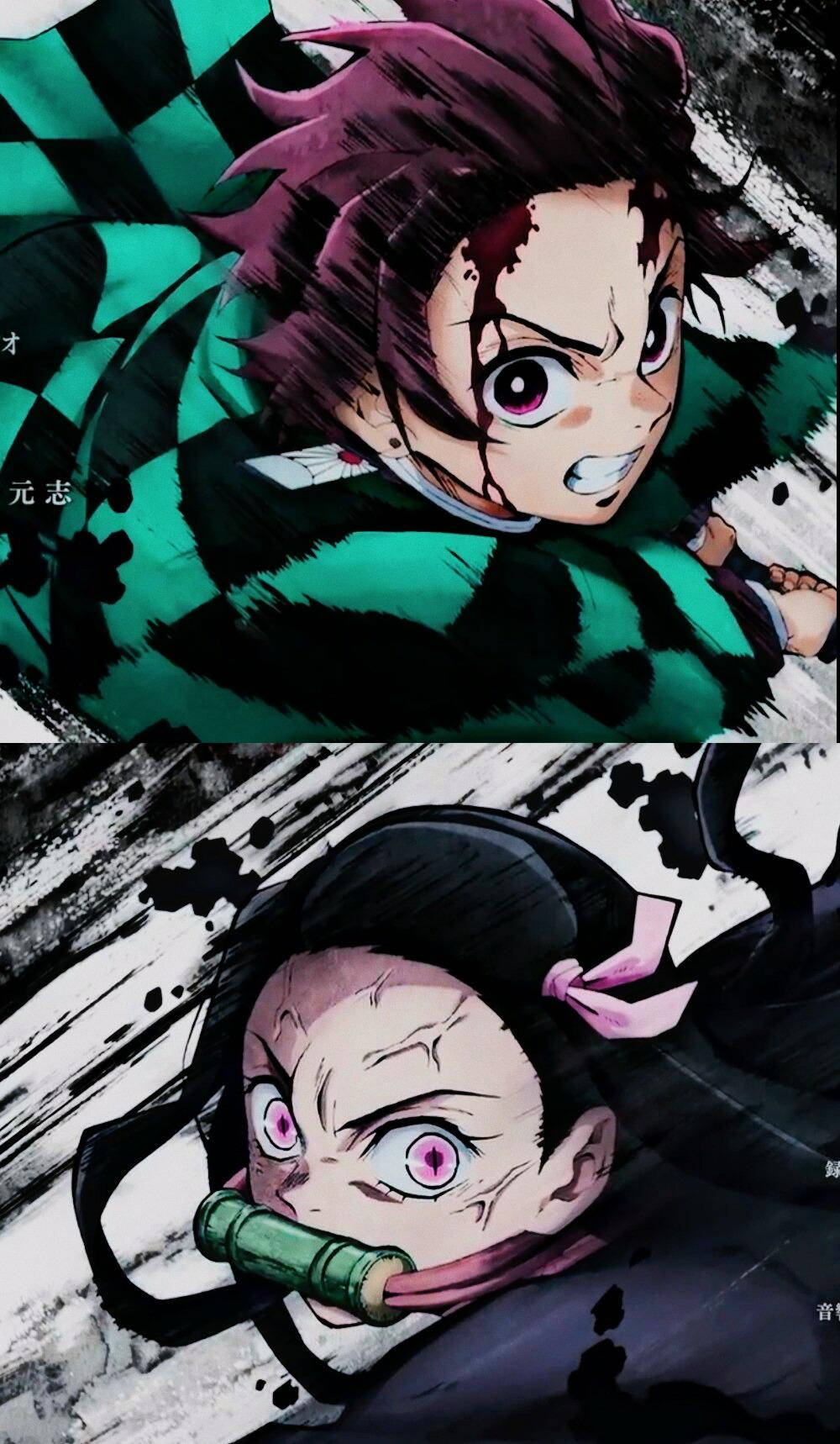 Demon Slayer Tanjiro og Nezuko i kamp Wallpapers