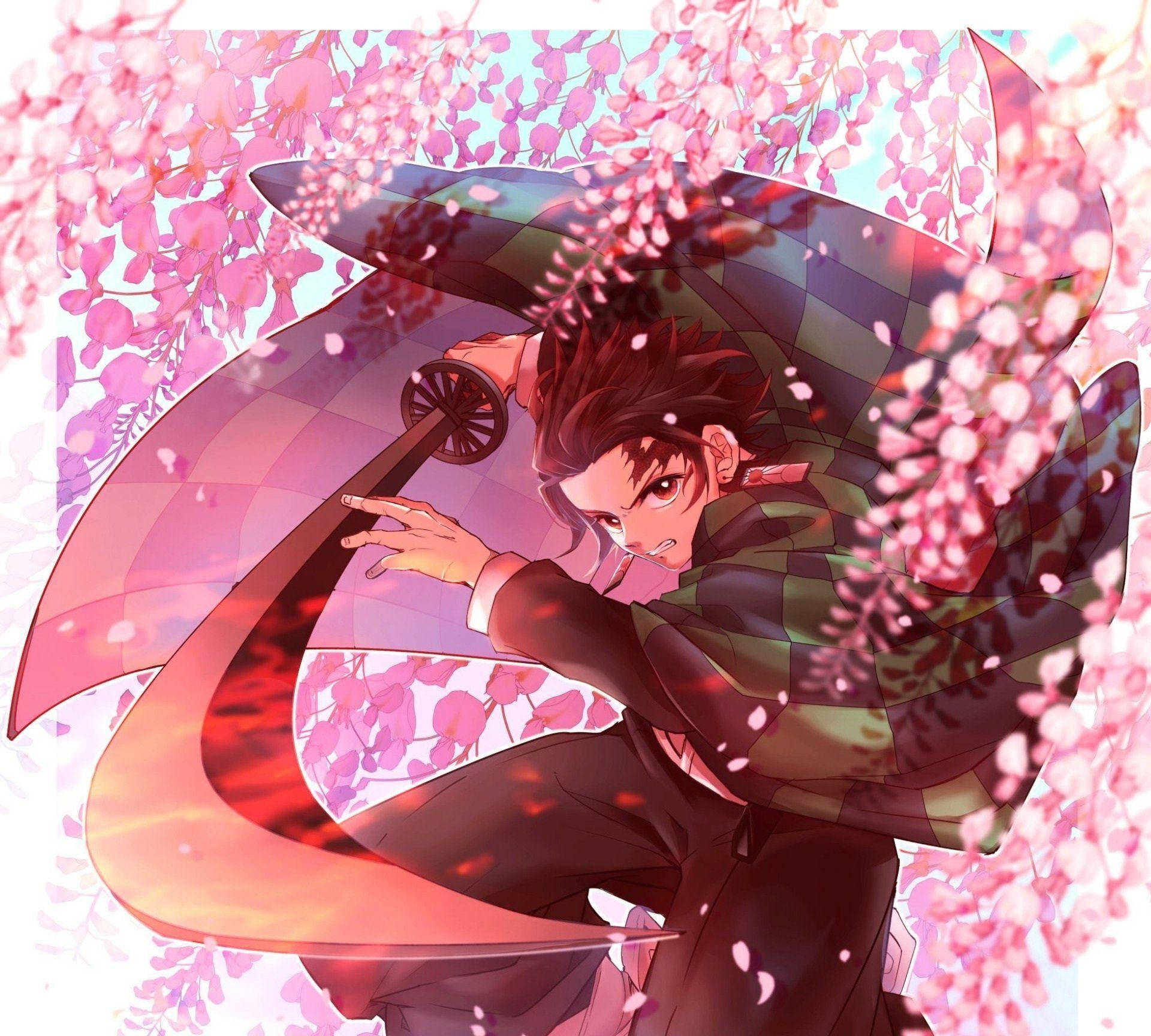 Demon Slayer Tanjiro Pinke Blomster Wallpapers