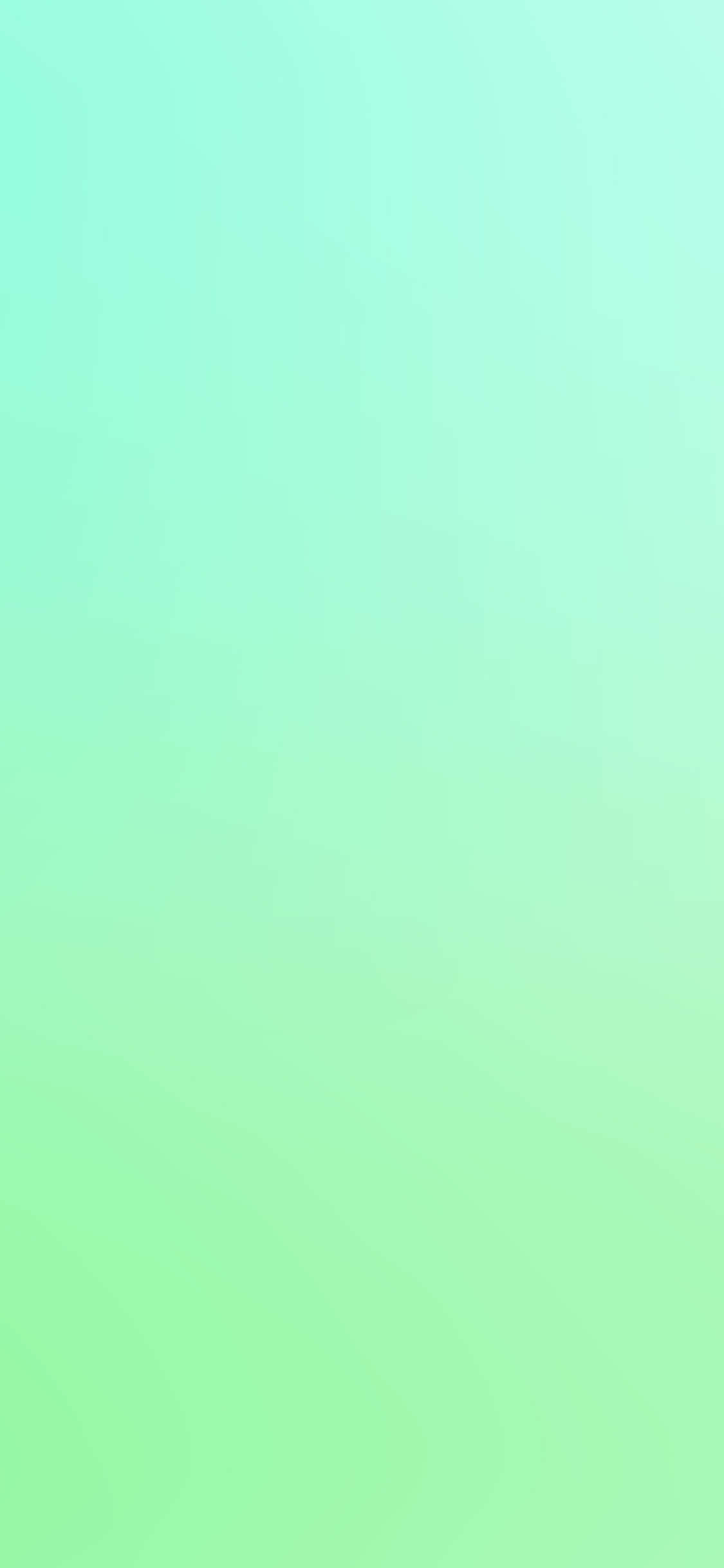Den fantastiske nye iPhone 11 i dristig grøn Wallpapers