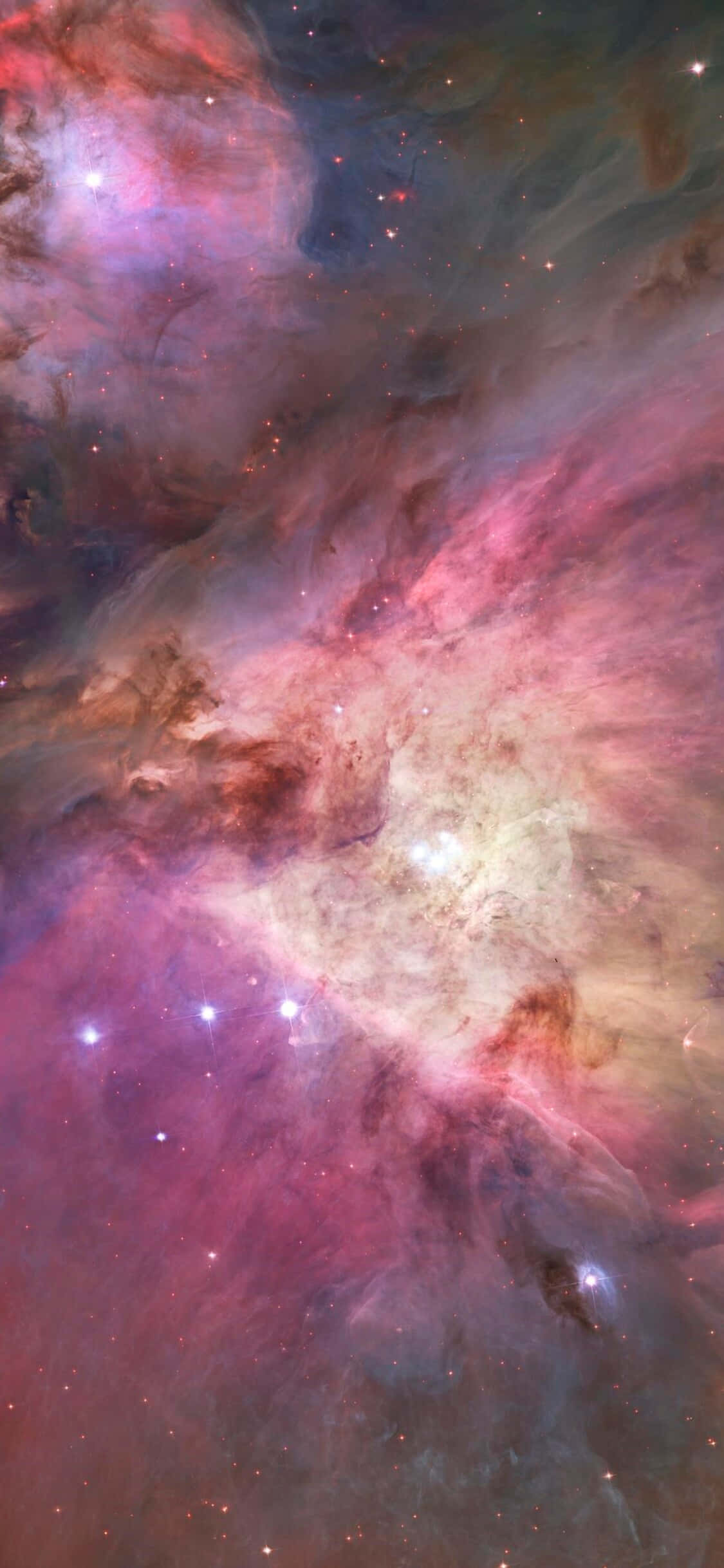 Den fantastiske Orion-stjernebillede mod et hav af stjerner. Wallpapers