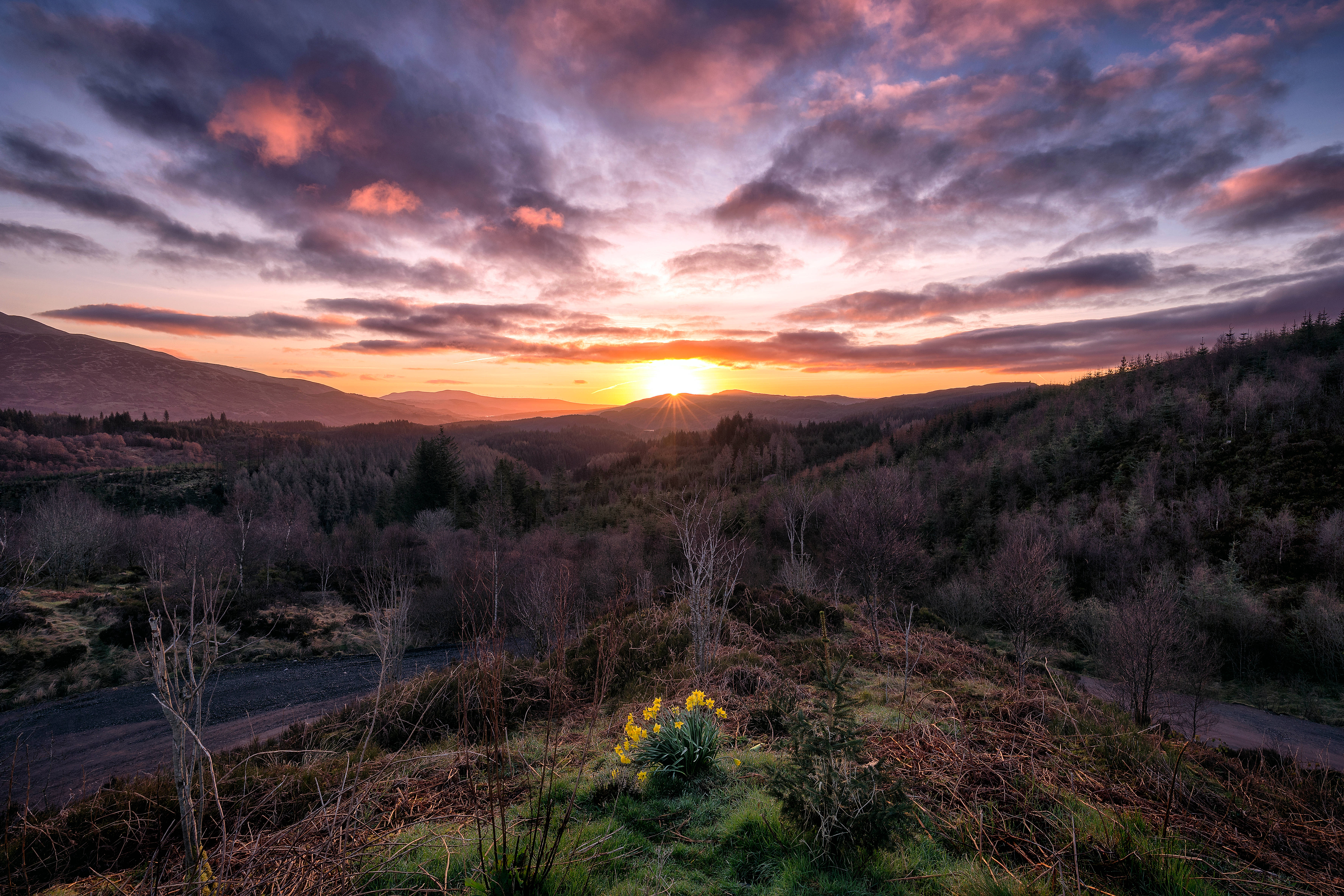 Den fortryllende solopgang i Trossachs Park i Skotland Wallpapers