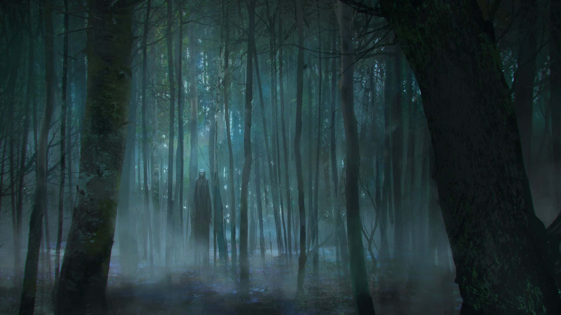 Den mystiske skønhed i en mørk skov Wallpapers
