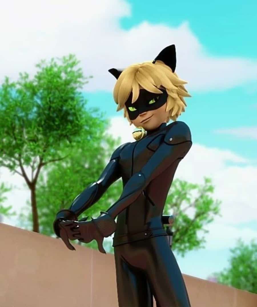 Den sejeste kat i byen - Cat Noir Wallpapers