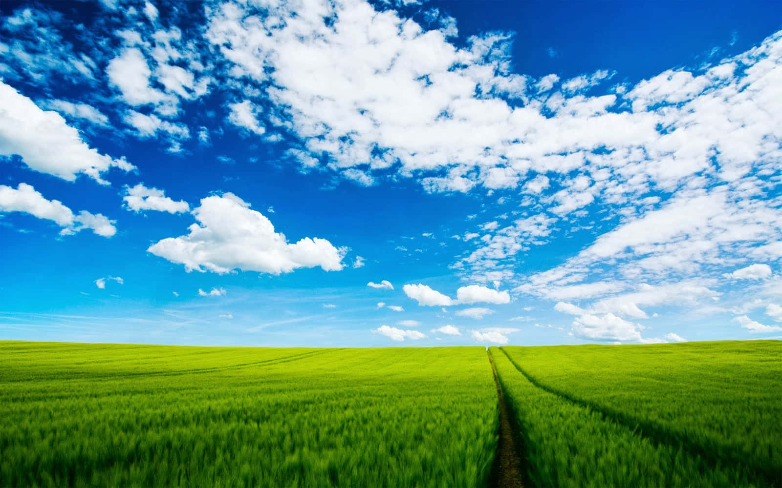 Den uendelige blå himmel Wallpapers