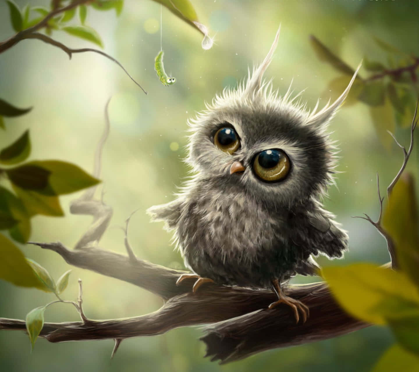 Denne søde ugle vil lyse din dag op! Wallpapers