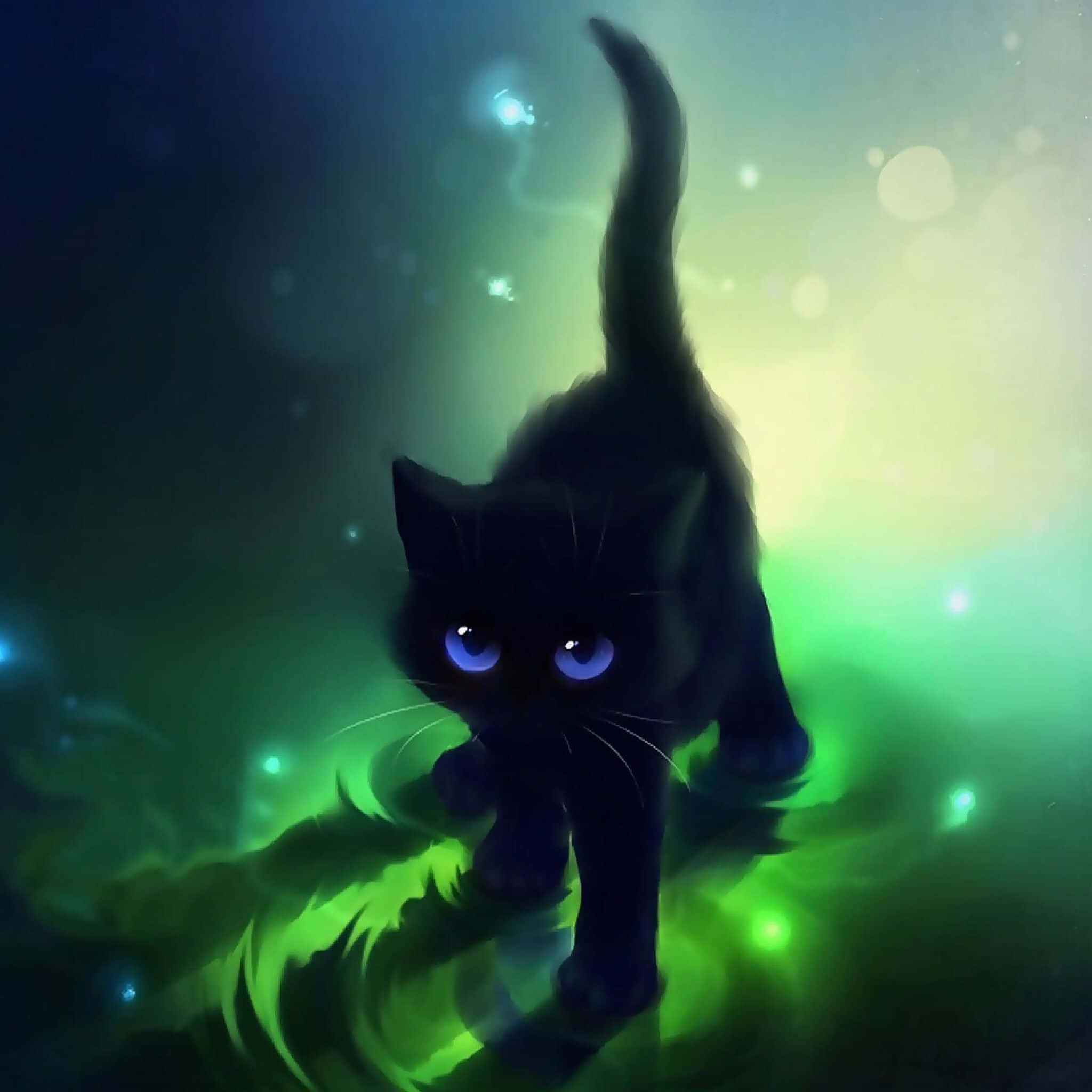 Denne smukke sorte kat vil stjæle dit hjerte Wallpapers