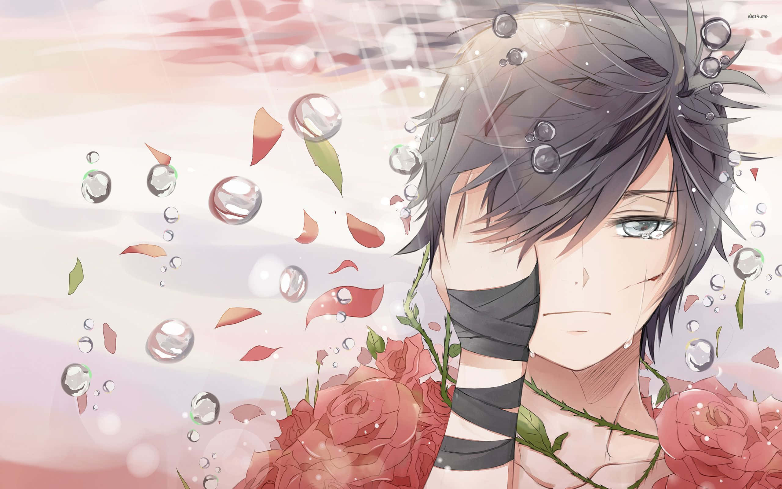 Deprimeret anime-dreng med roser Wallpapers