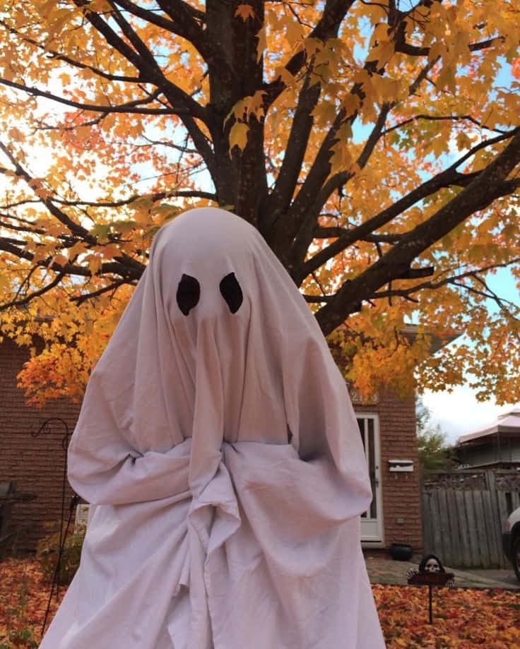 Det er Halloween, klæd dig ud og vær en anden! Wallpapers