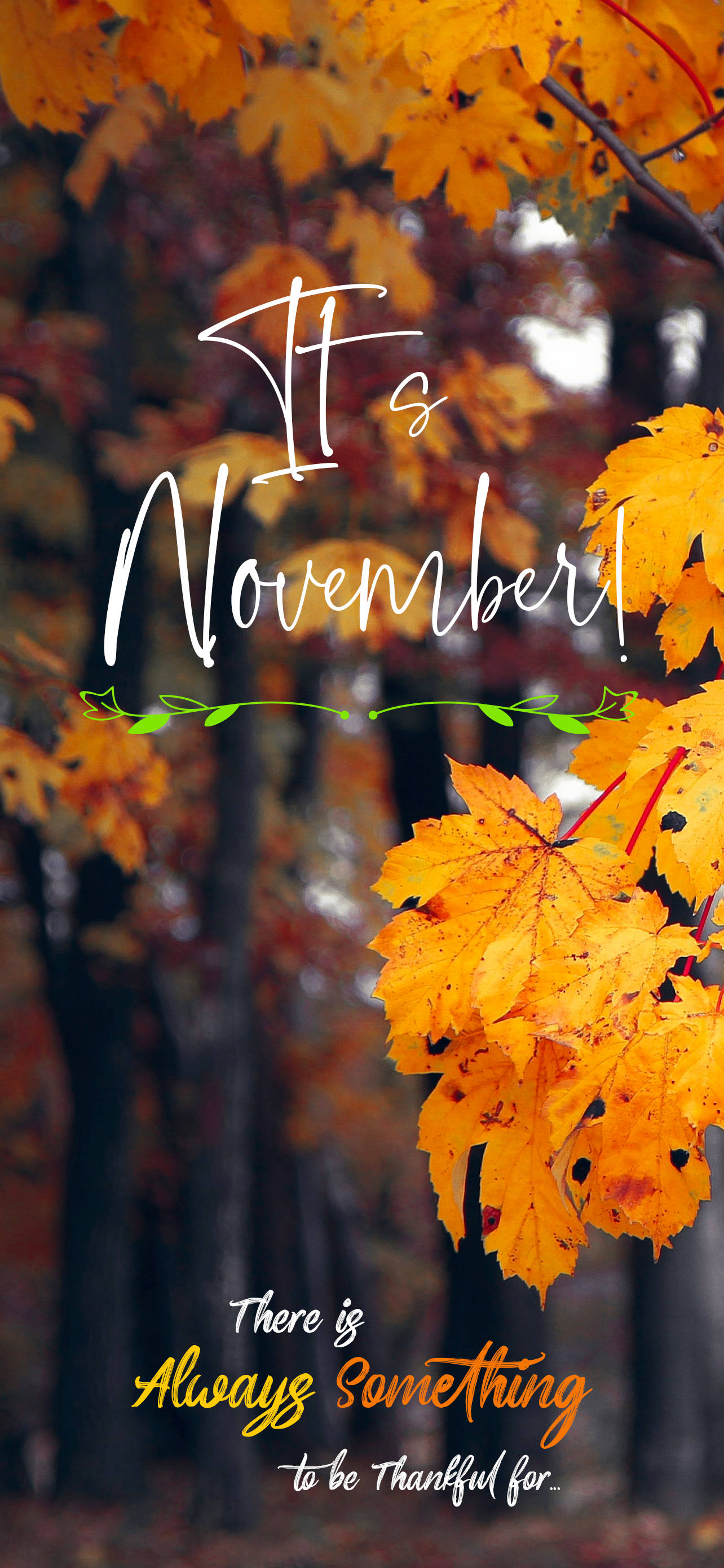 Det Er November Efterårstræer Citat Wallpapers
