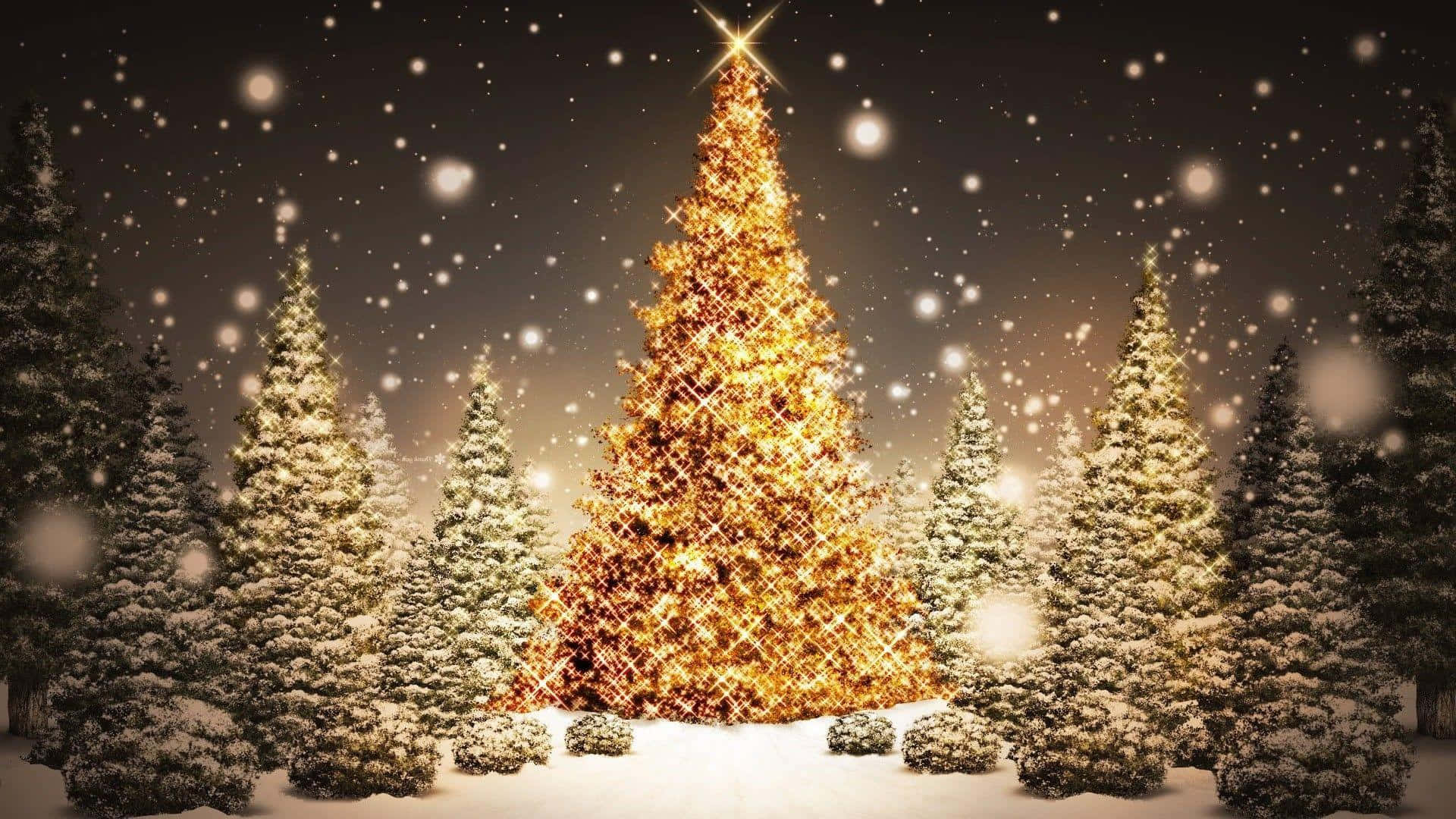 Det perfekte juletræ til at lyse dit hjem op Wallpapers