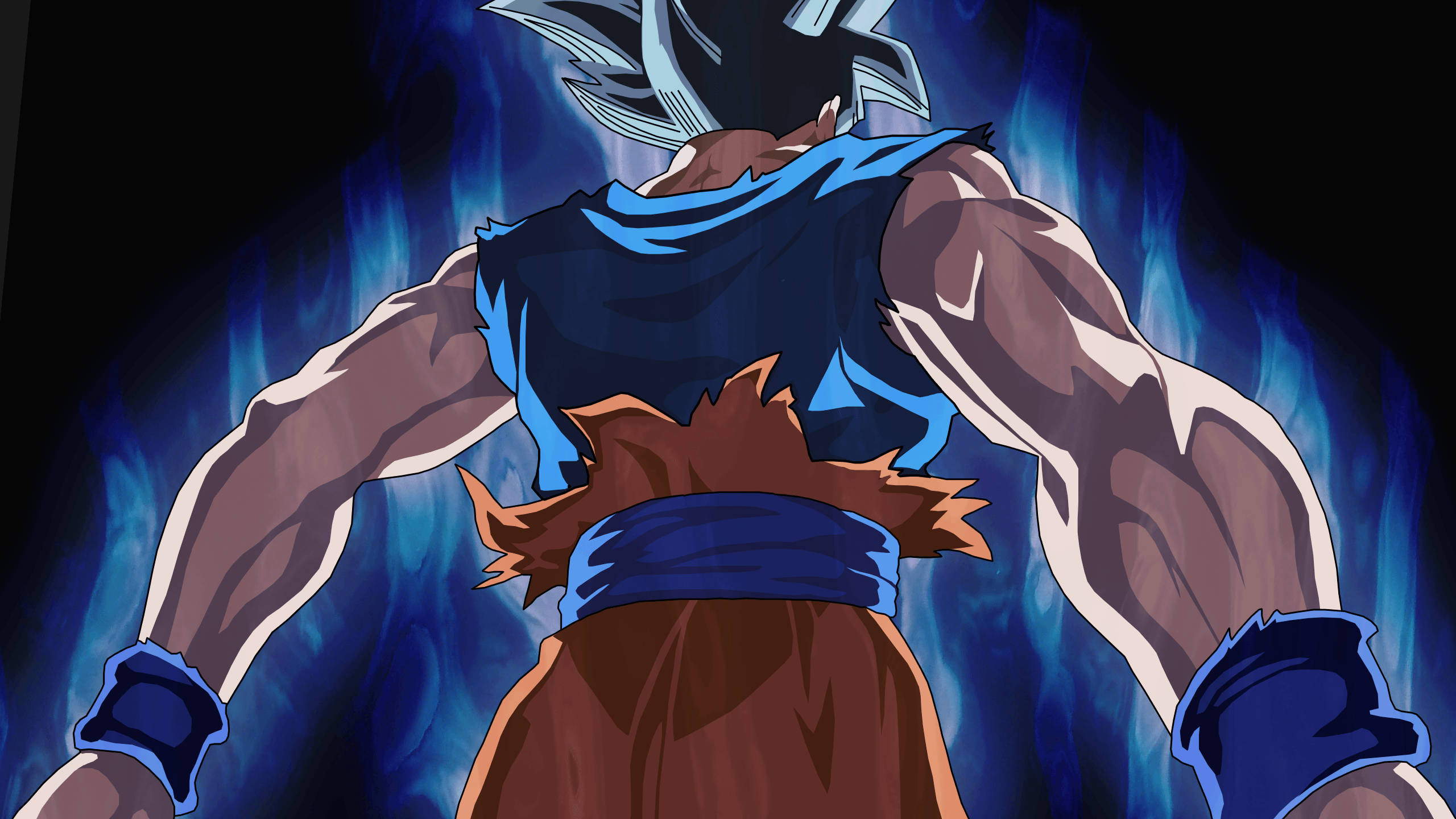 Dragon Ball Ultra Instinct Goku Æstetik Wallpapers