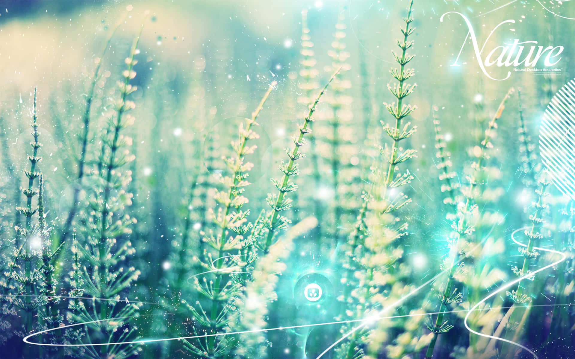 Drømmende pastelhimmel Wallpapers