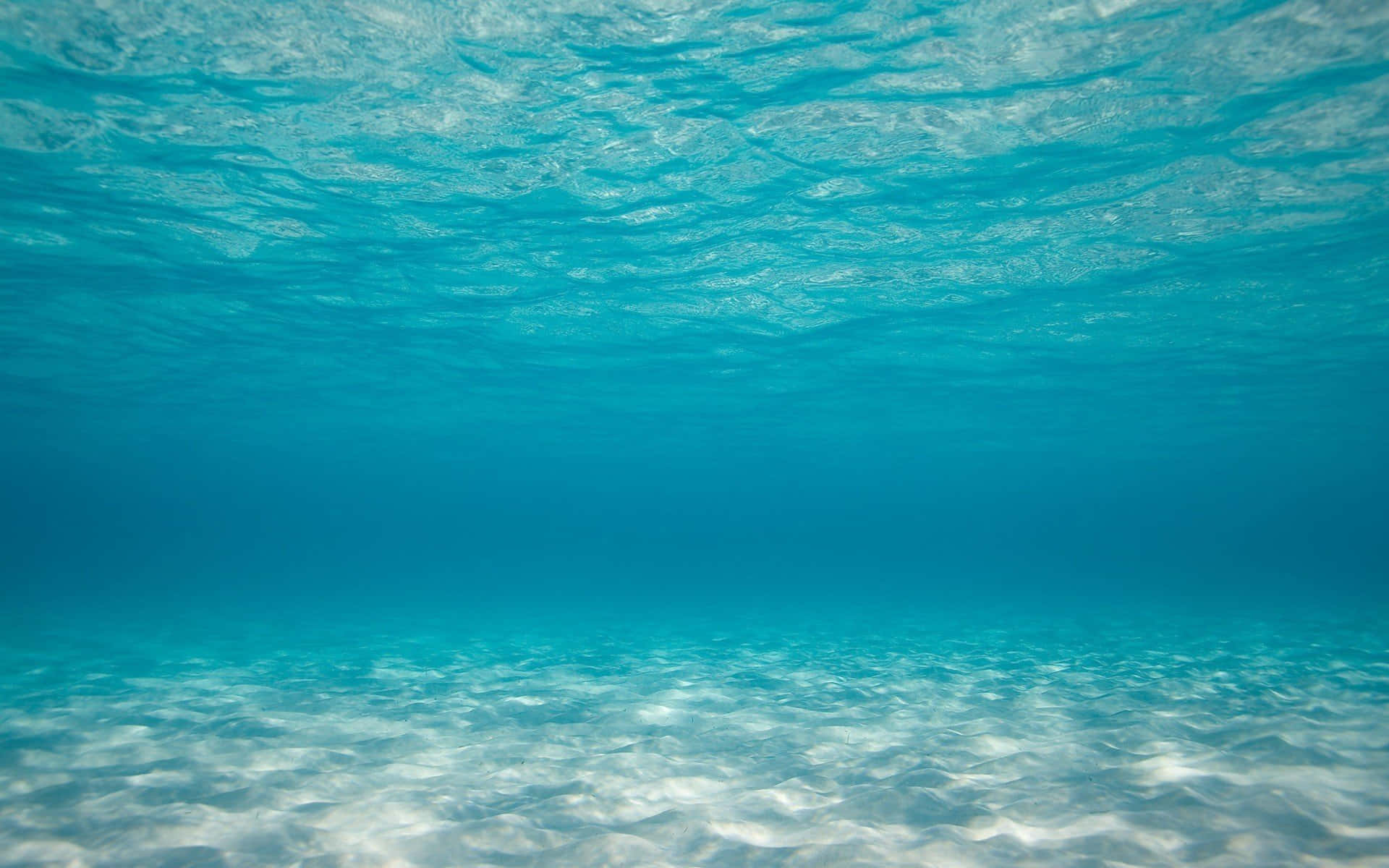 Dybdyk under vandet Wallpapers