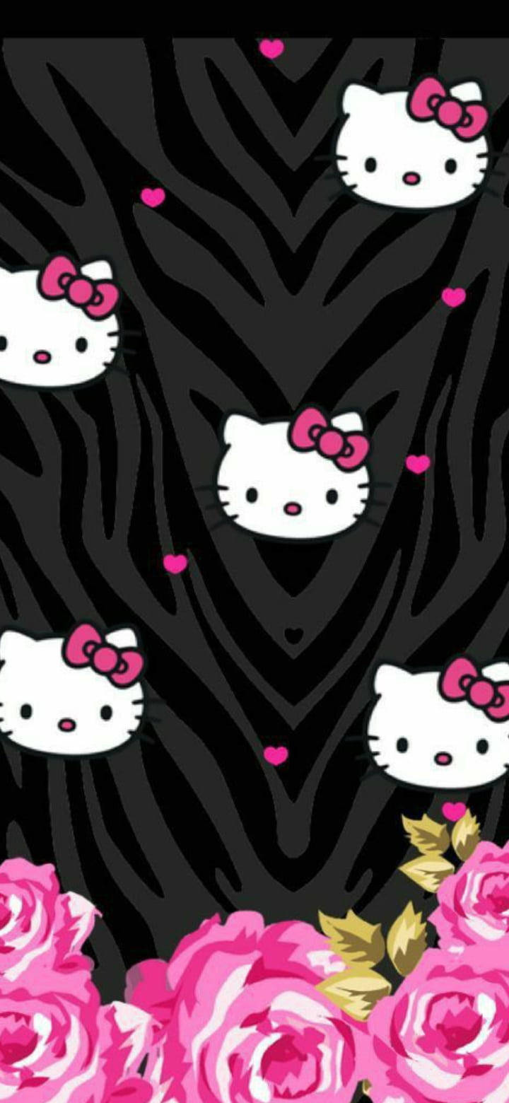 Dyremønster i sort Hello Kitty Wallpapers