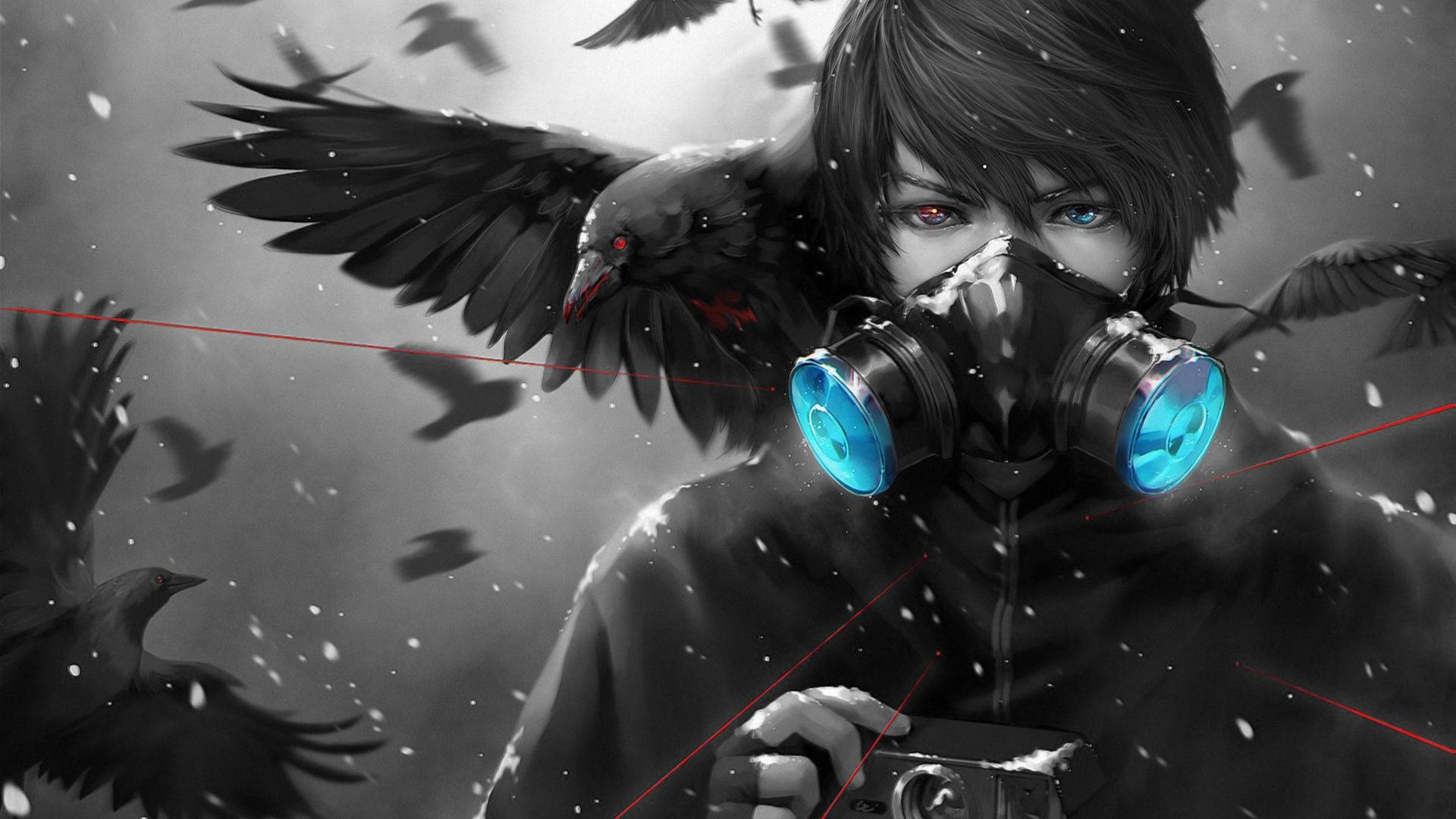 Edgy anime profilbillede med dreng og krager Wallpapers