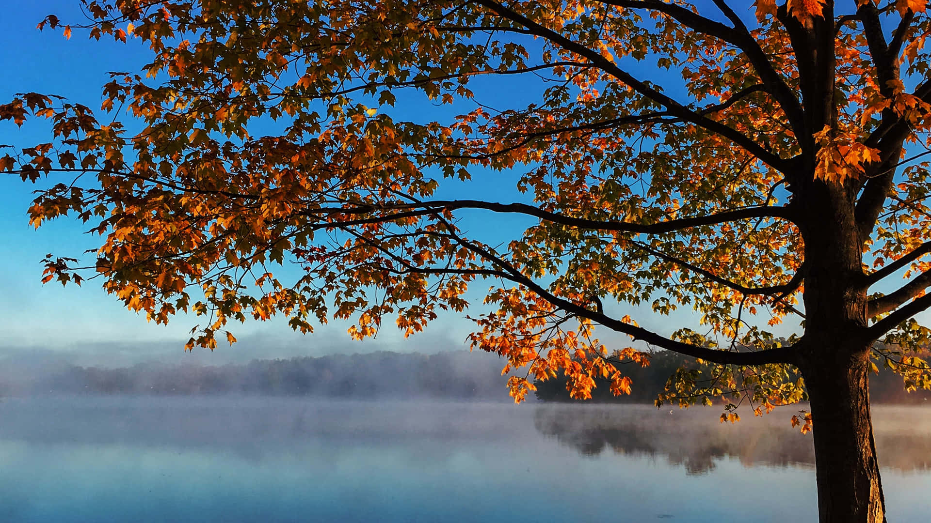 Efterår 3840 x 2160 baggrund Wallpapers