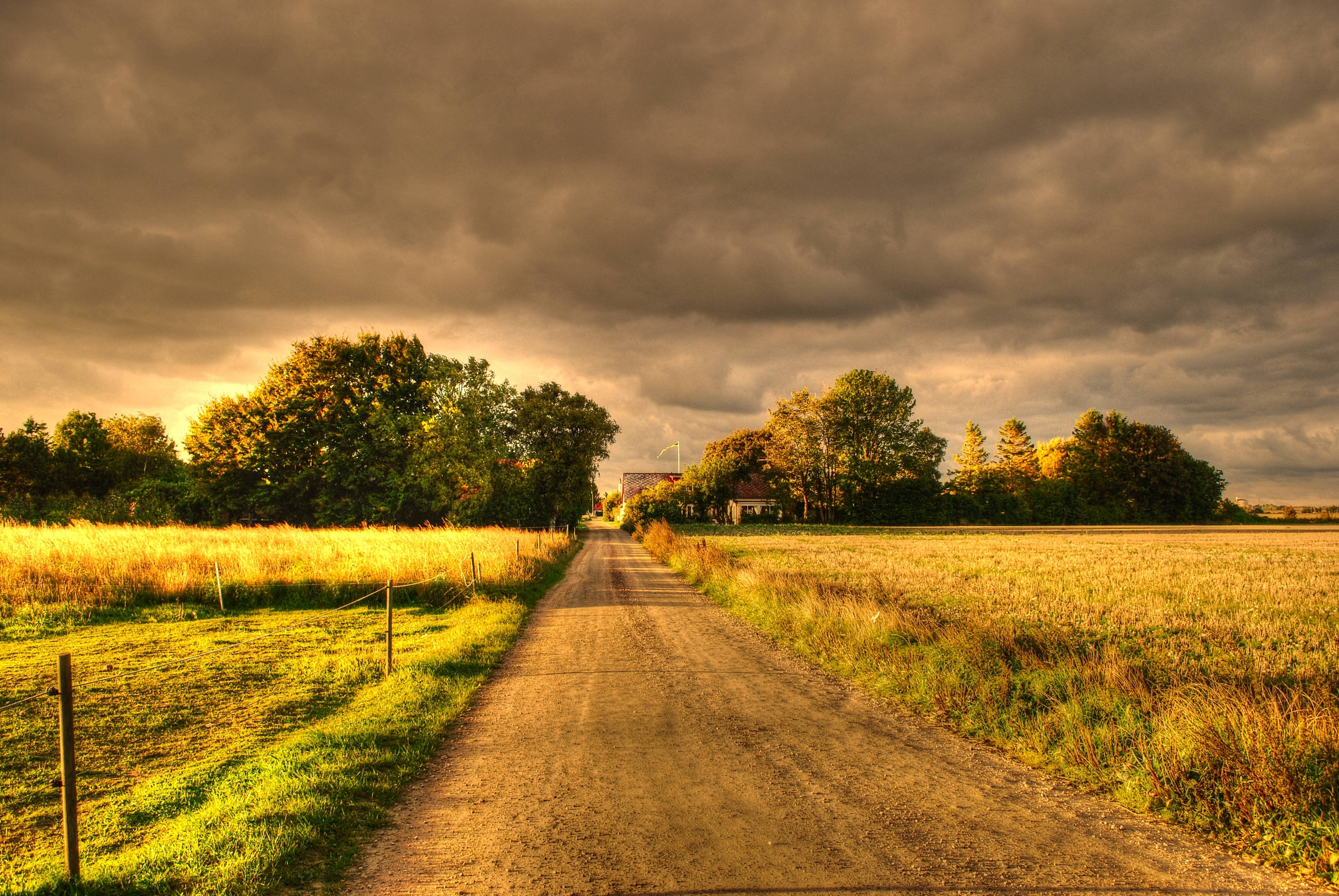 Efterårets skønhed – en frodig grøn mark under en dyster himmel. Wallpapers