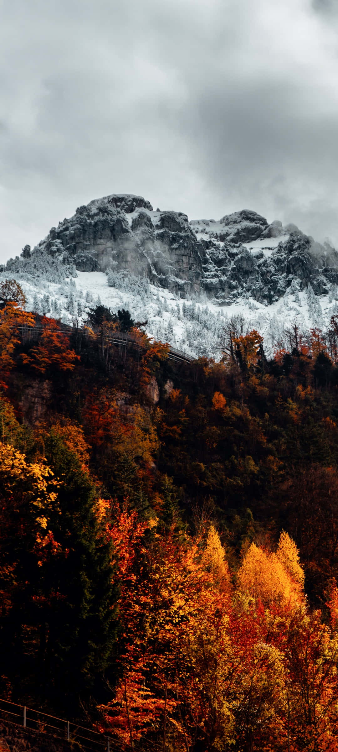 Efterårsbjerg Til Telefon Wallpapers