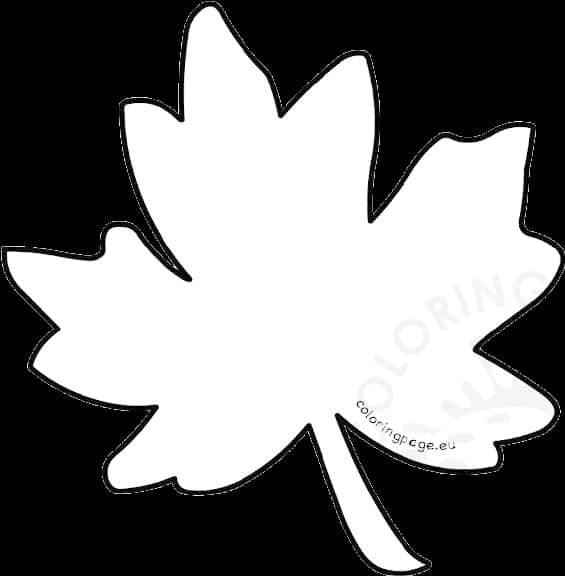 Efterårsblad Omrids Wallpapers