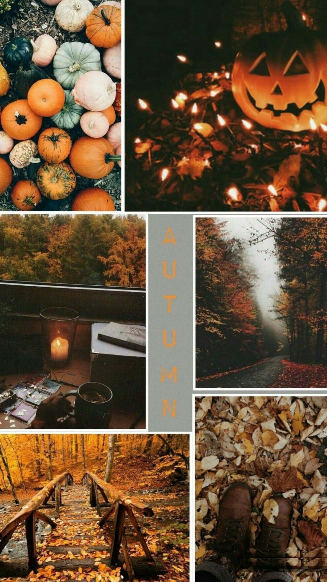 Efterårsæstetik Wallpapers
