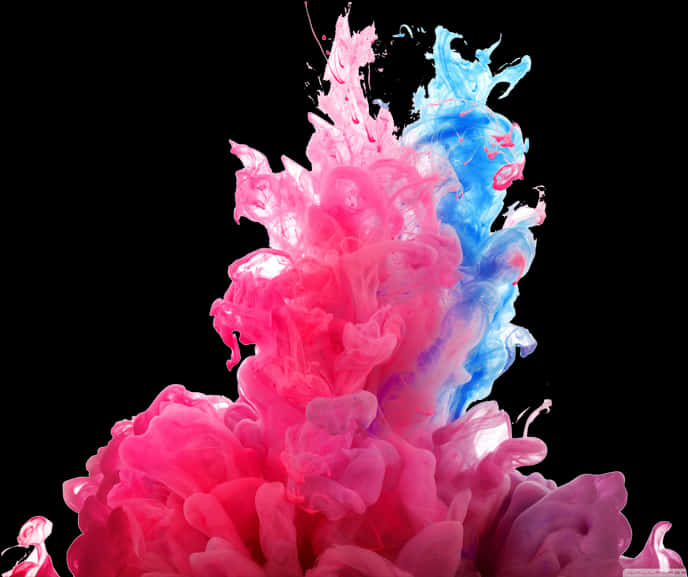 Eksplosion af levende lyserød og blå blæk Wallpapers