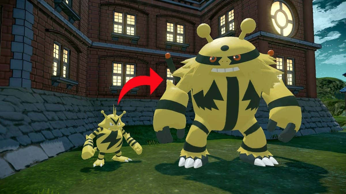Electabuzz oplader energi i Pokemon kamp Wallpapers