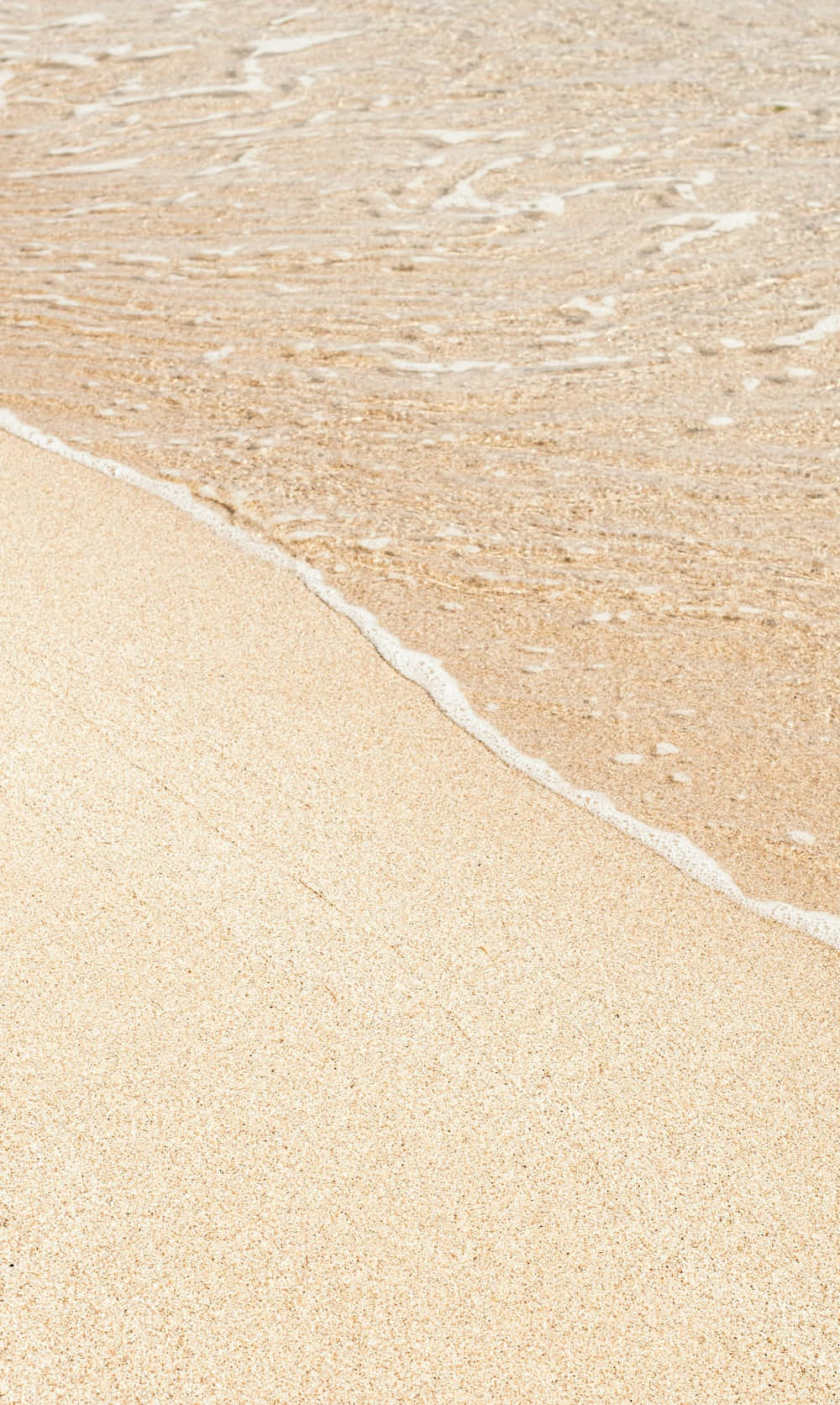 Elegant blød beige æstetik Wallpapers