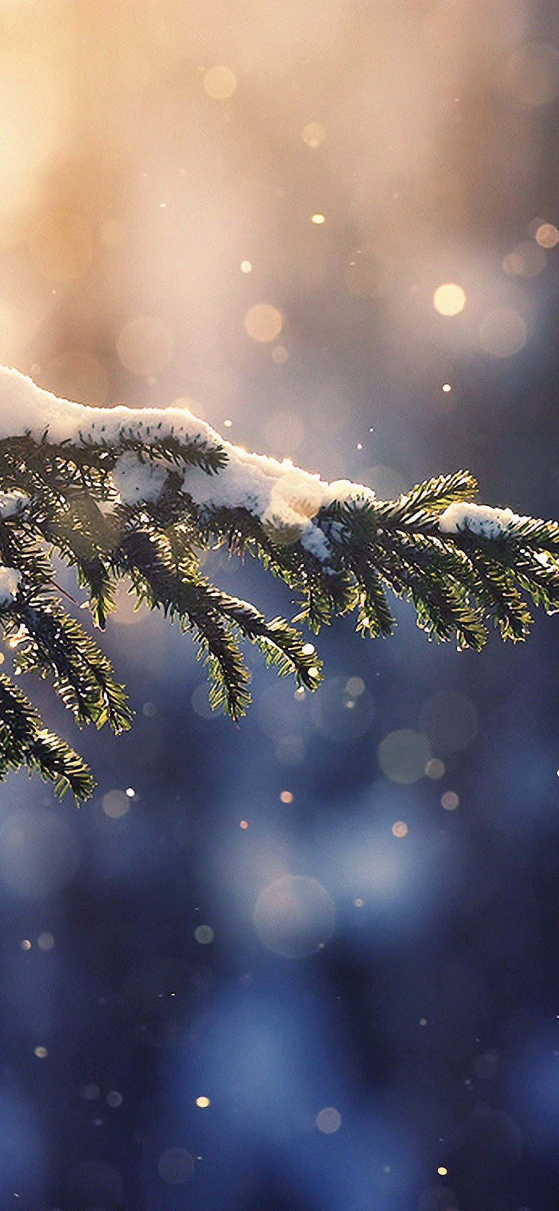 Elegant visning af naturens skønhed på iPhone X Wallpapers