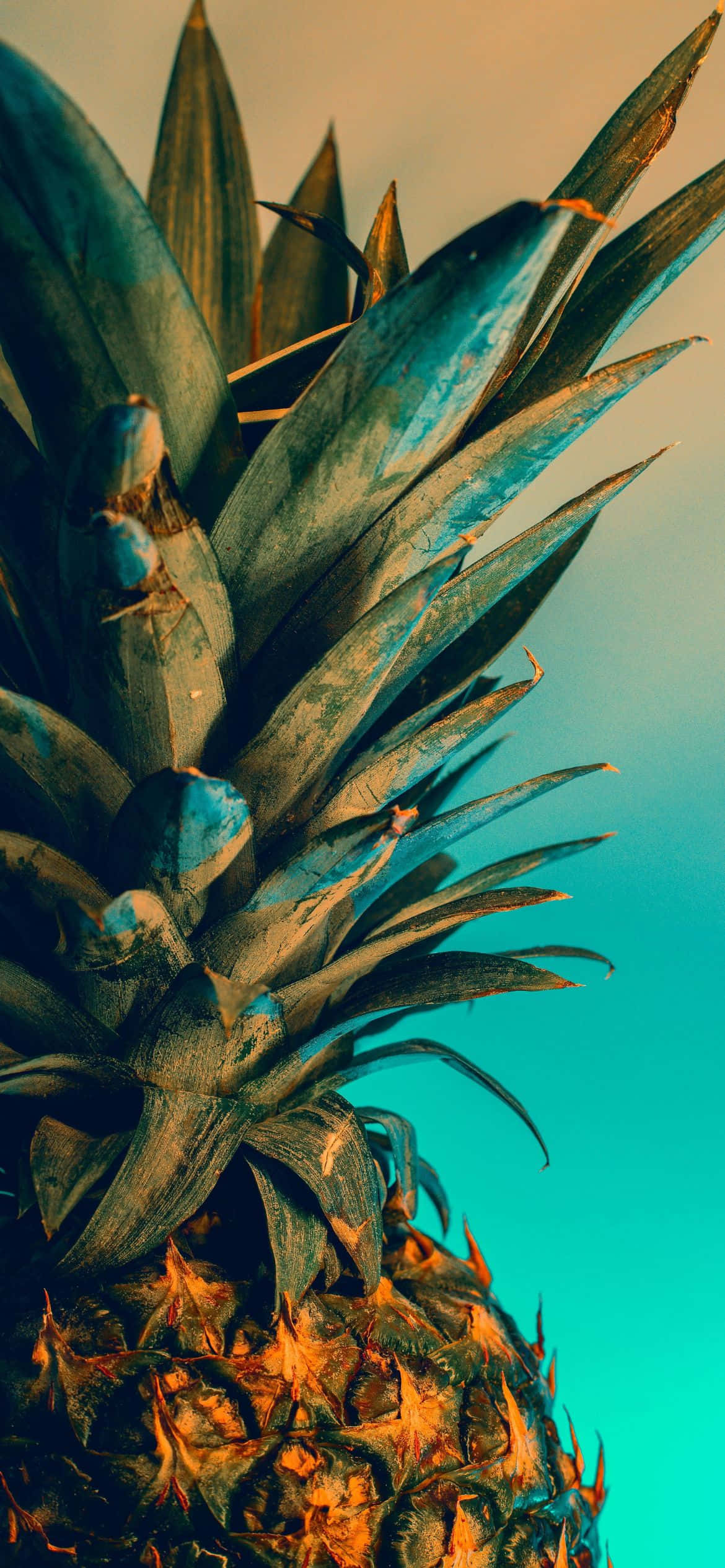 en ananas med en blå himmel baggrund Wallpapers