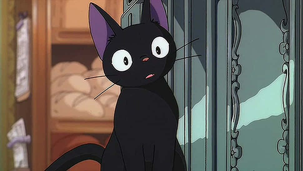 En anime-kat med blå øjne nyder solnedgangen Wallpapers