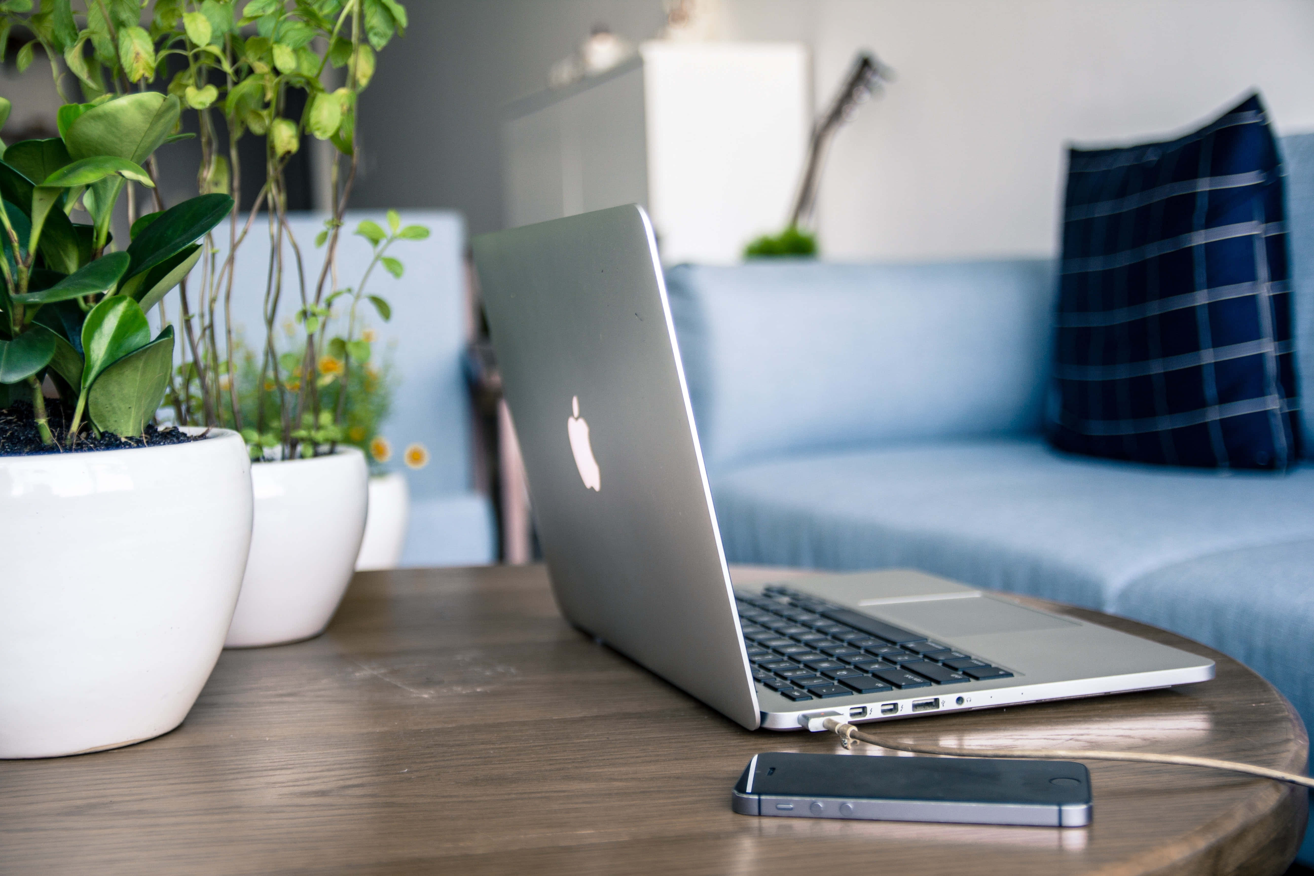 en bærbar computer på et bord ved siden af en plante Wallpapers