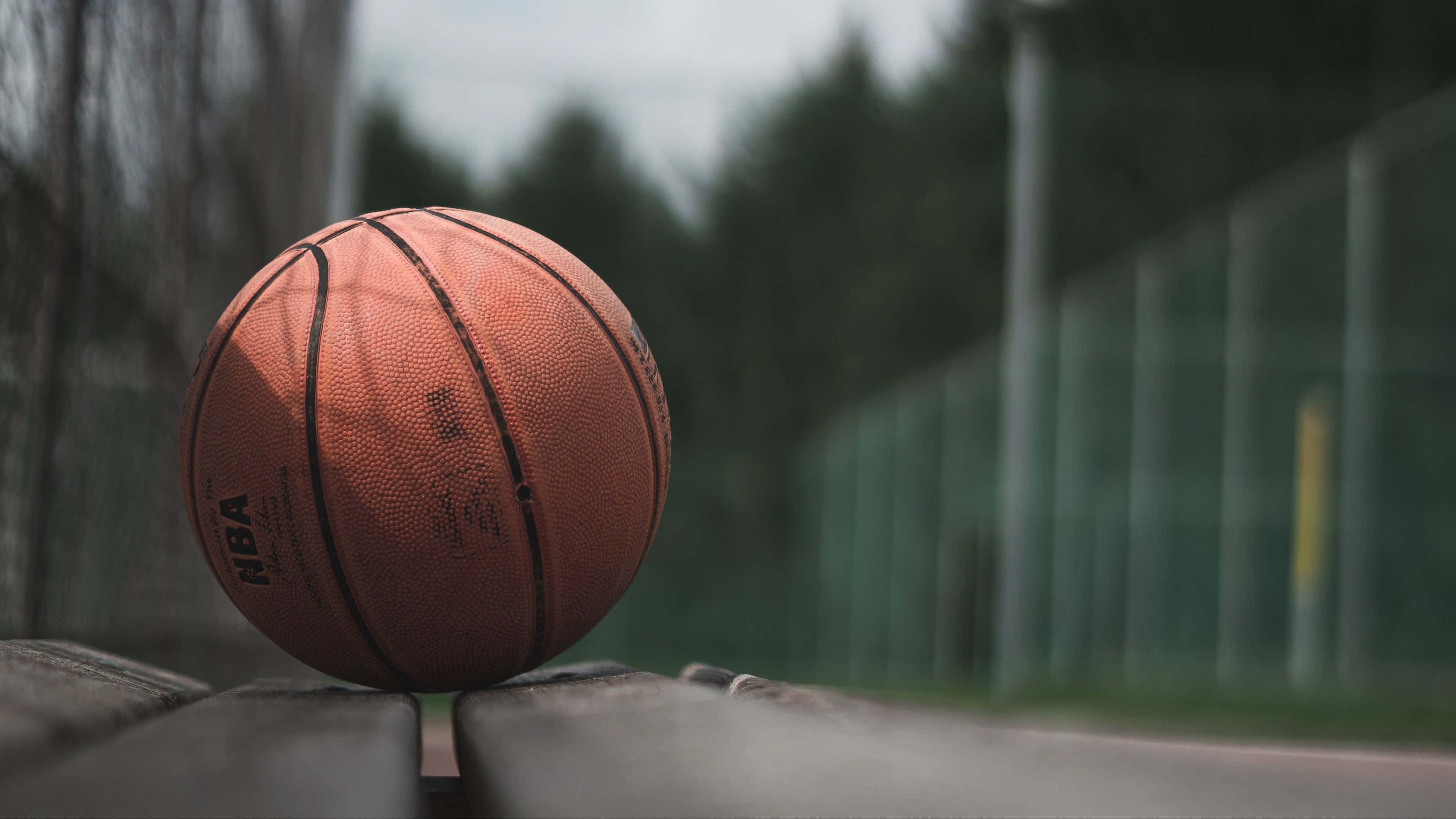 En basketball på en bænk Wallpapers