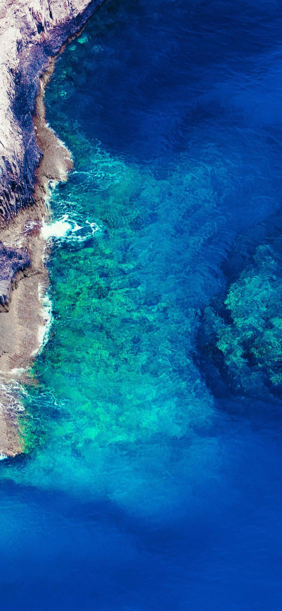 En betagende udsigt over en smuk strand med en frodig grøn skov bagved Wallpapers