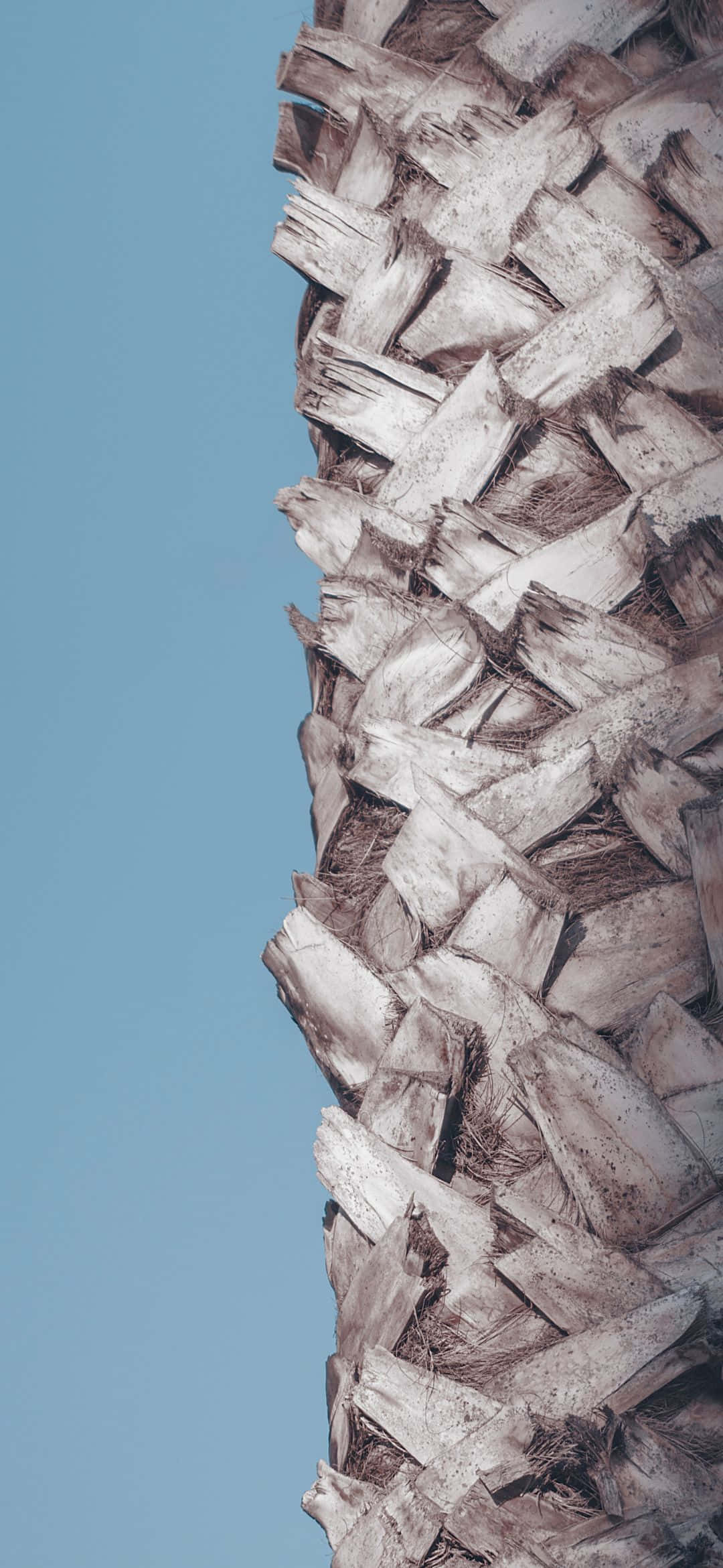 En betagende udsigt fra en grøn bakketop Wallpapers