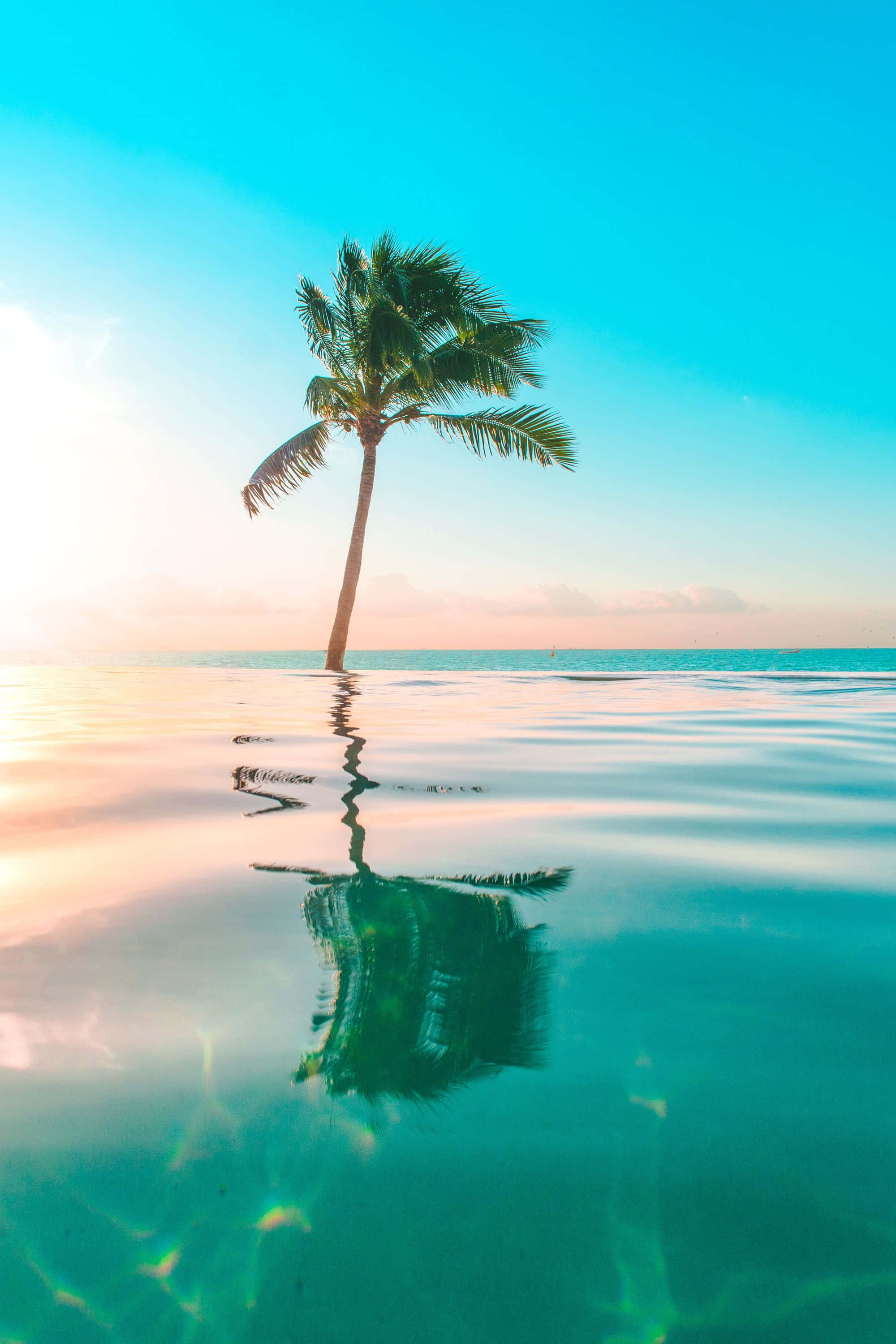 En betagende udsigt over en betagende strand i troperne Wallpapers