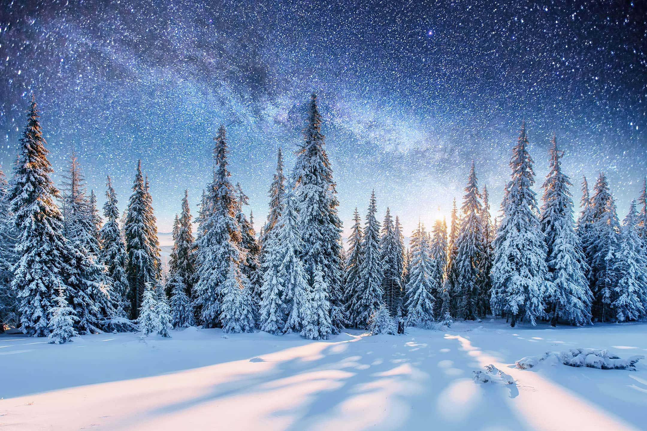 En betagende vintermaleri med fascinerende hvid sne og smuk natur i baggrunden. Wallpapers