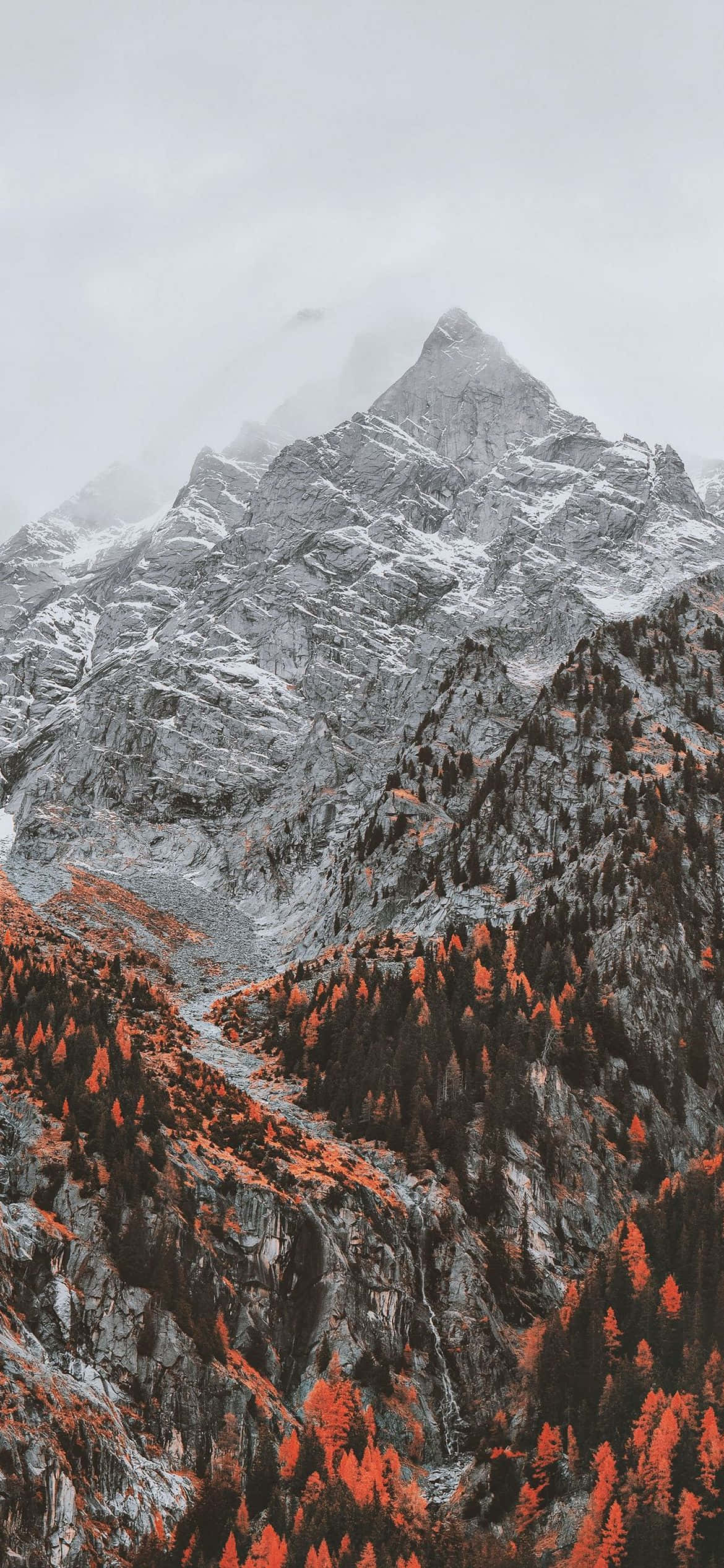 en bjergkæde med røde træer og et bjerg Wallpapers
