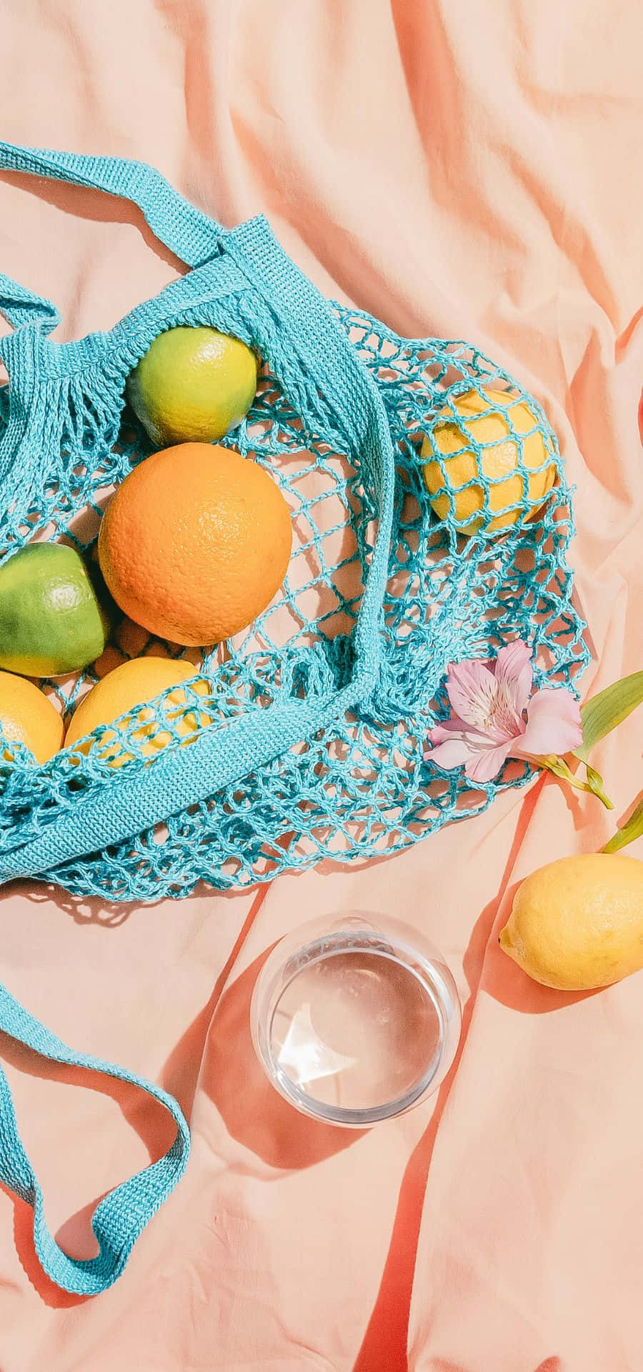 en blå taske med citroner og appelsiner på Wallpapers