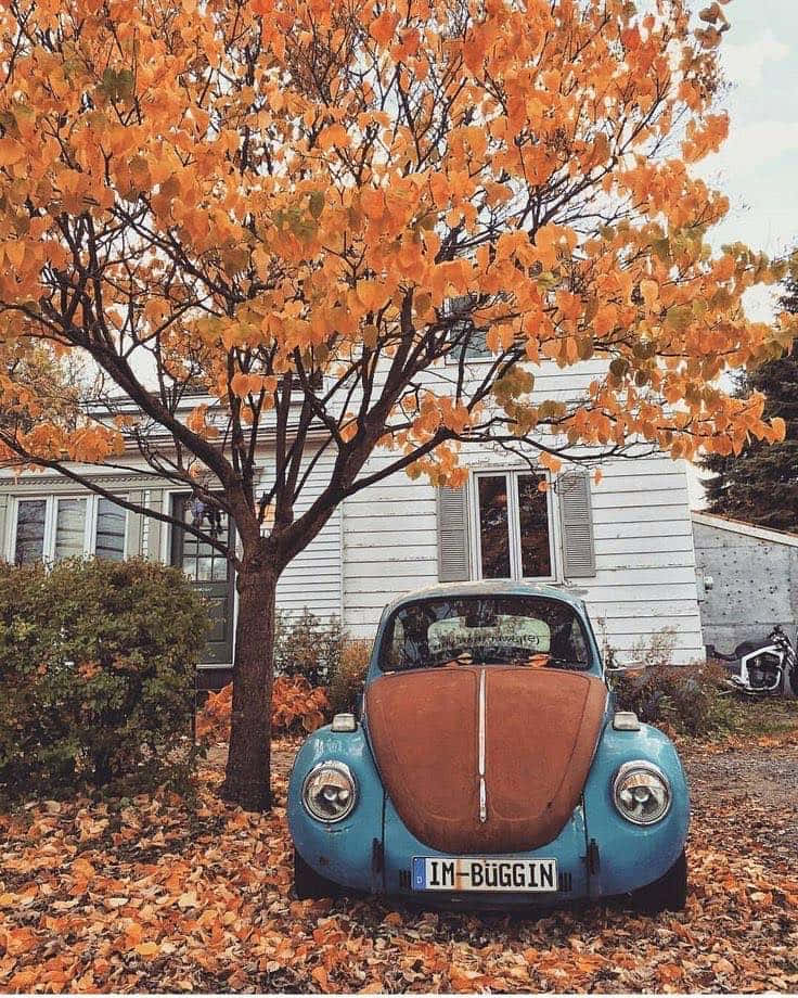 en blå vw-boble parkeret foran et hus med blade Wallpapers