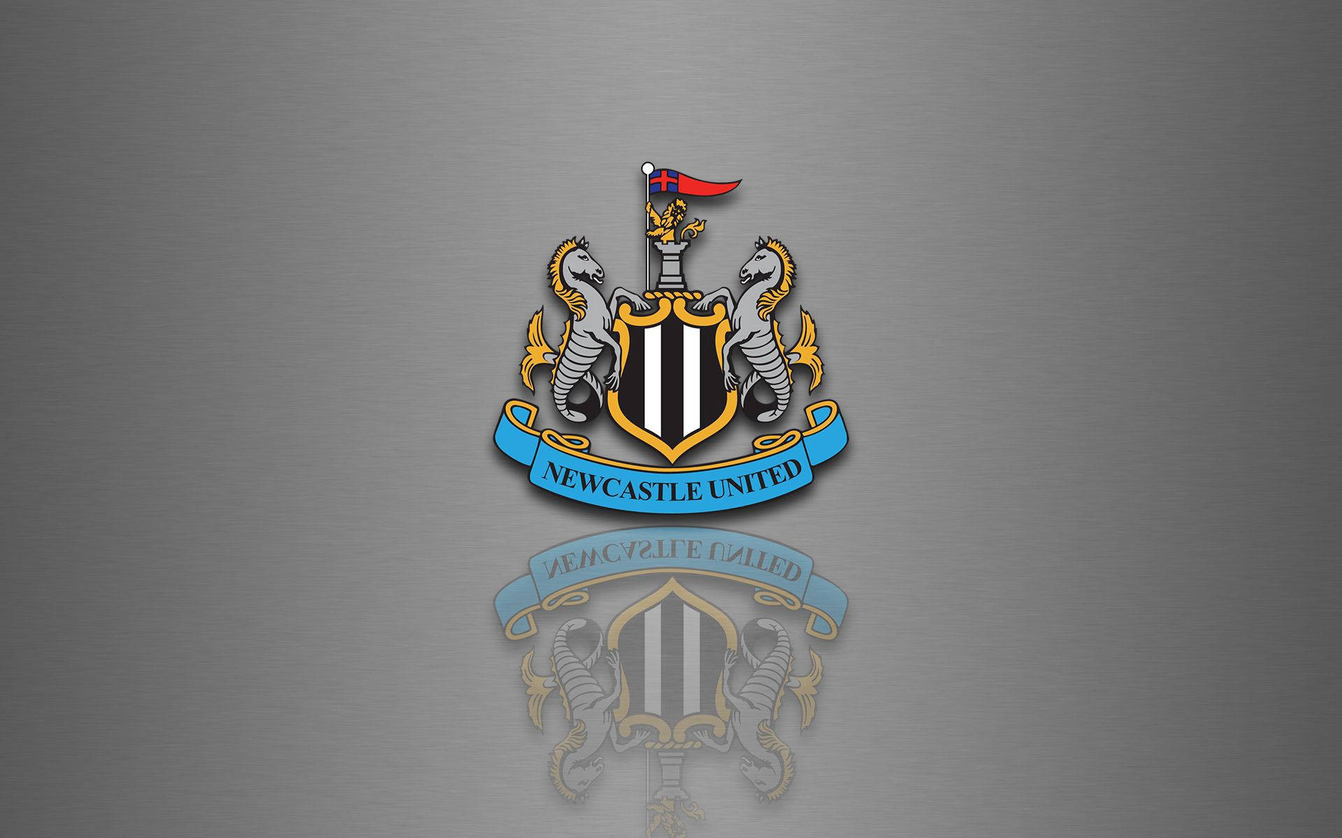 En brølende skare ser på, mens Newcastle United F.C. går på banen! Wallpapers