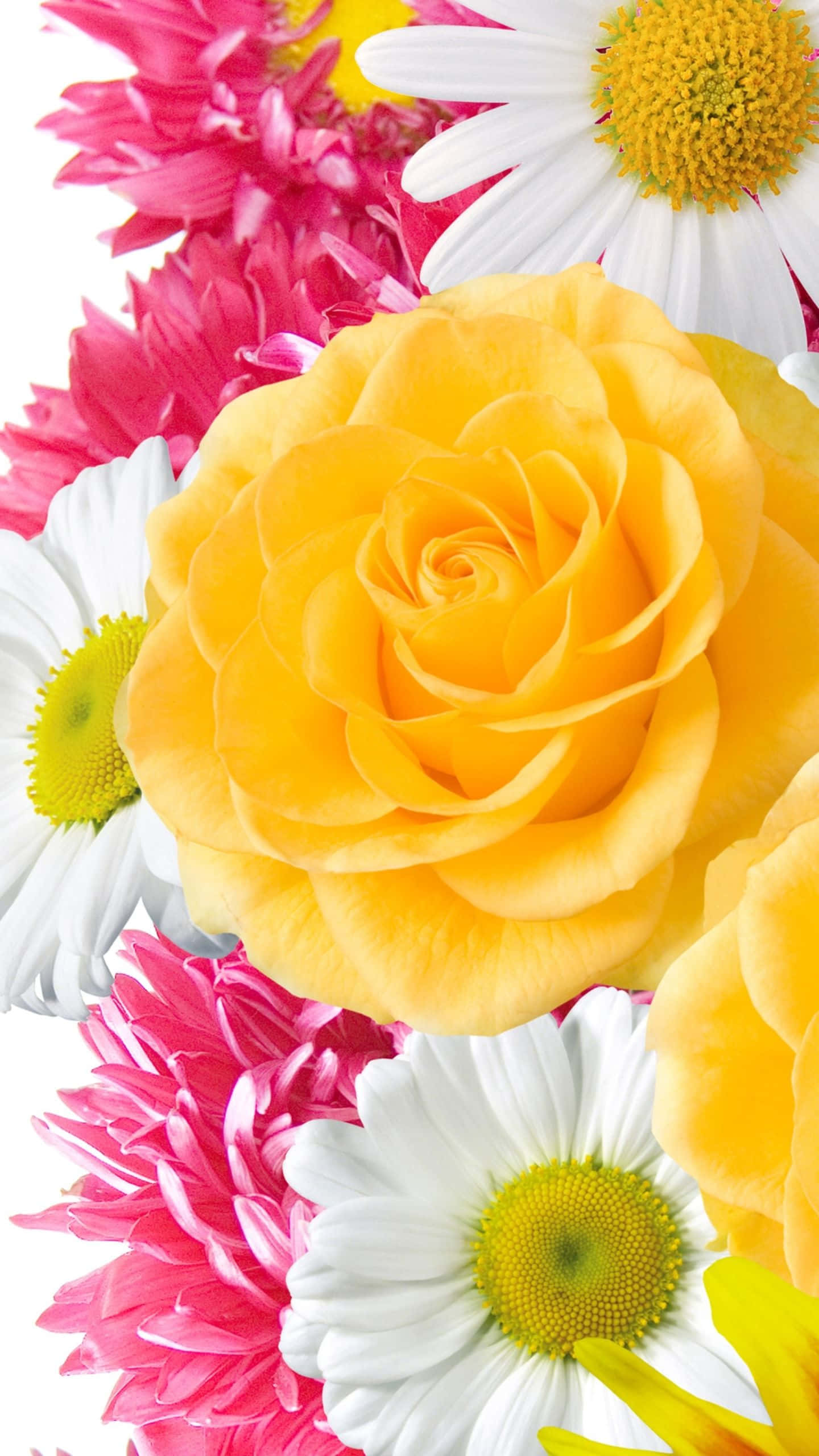 en buket blomster Wallpapers