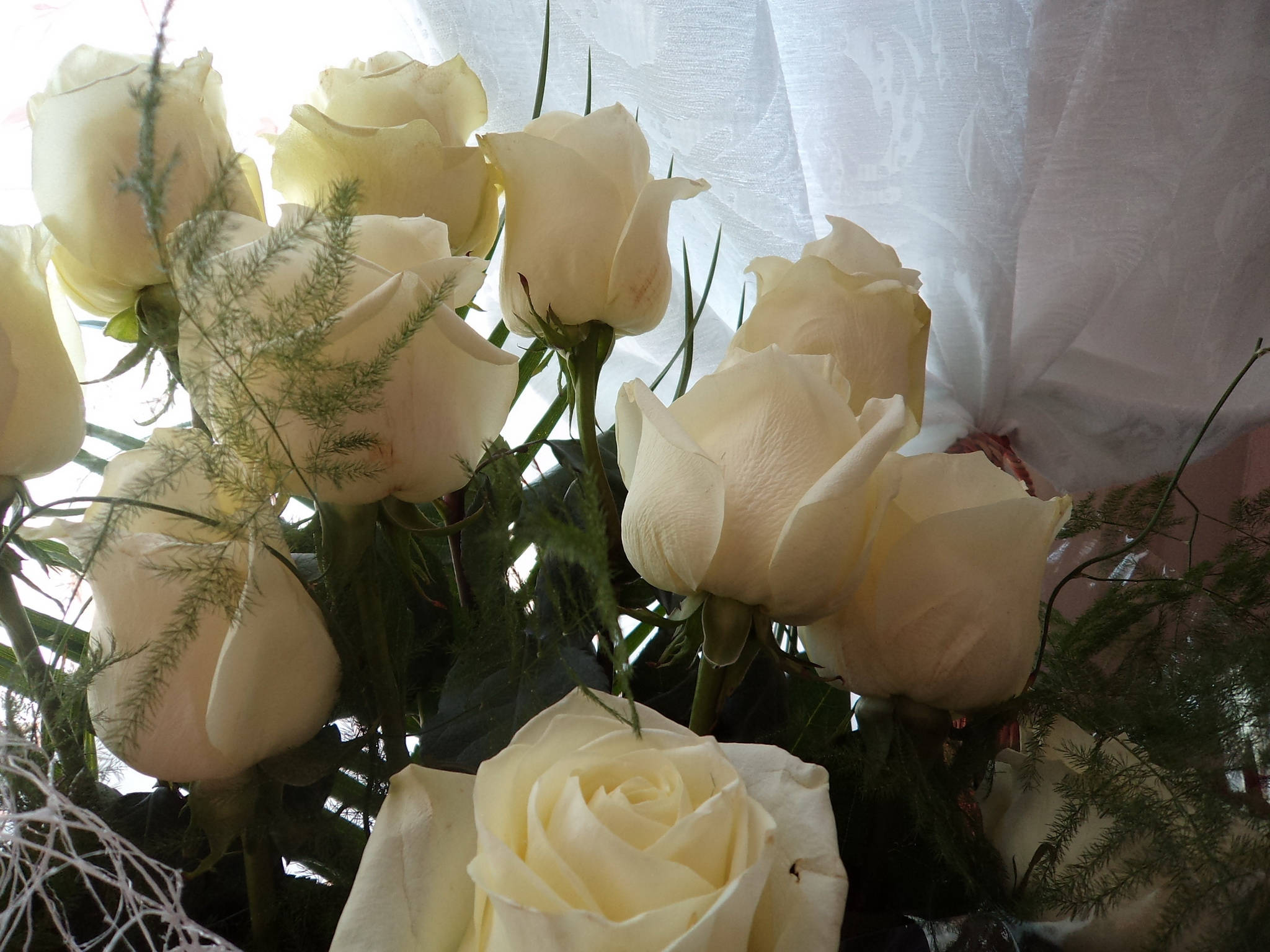 En buket hvide roser Wallpapers