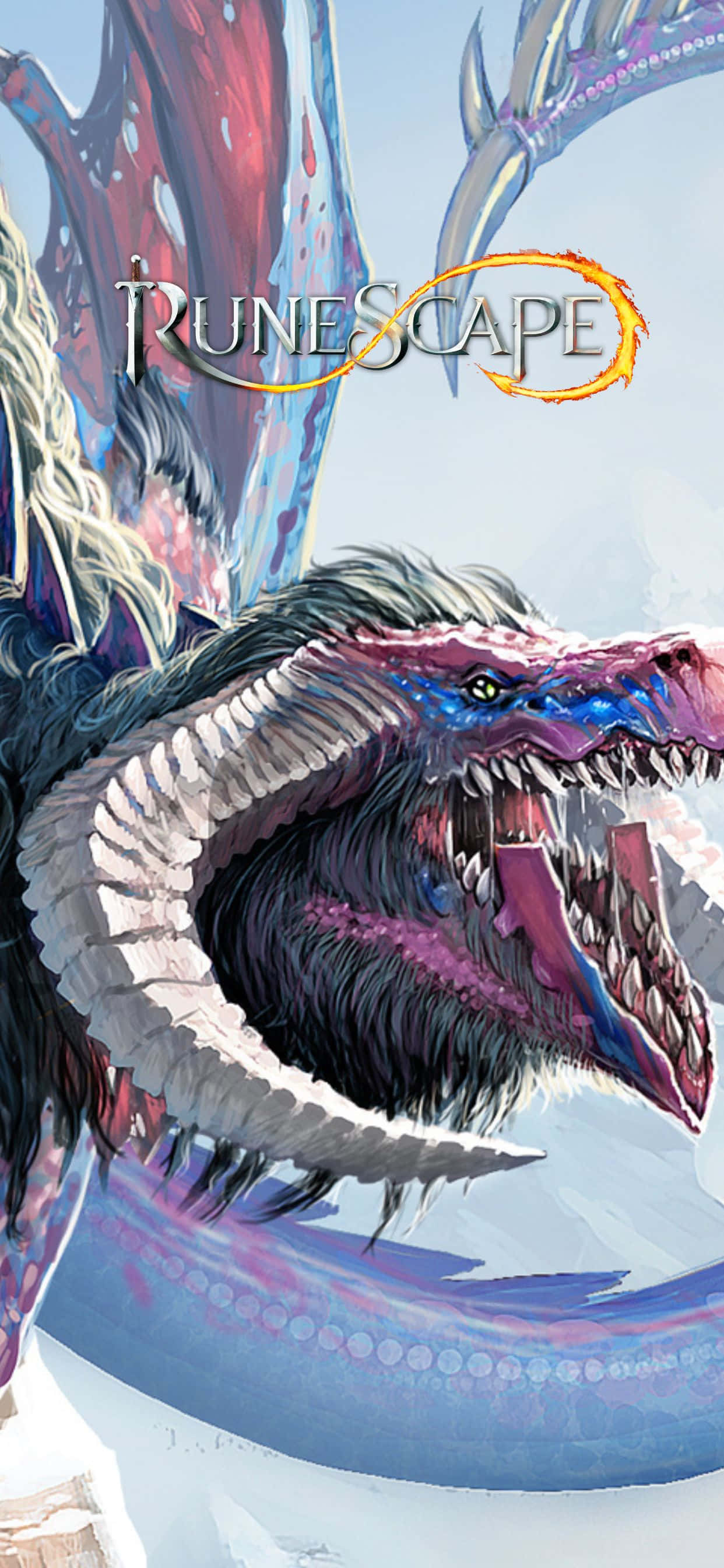 en drage med en blå og lyserød hale Wallpapers
