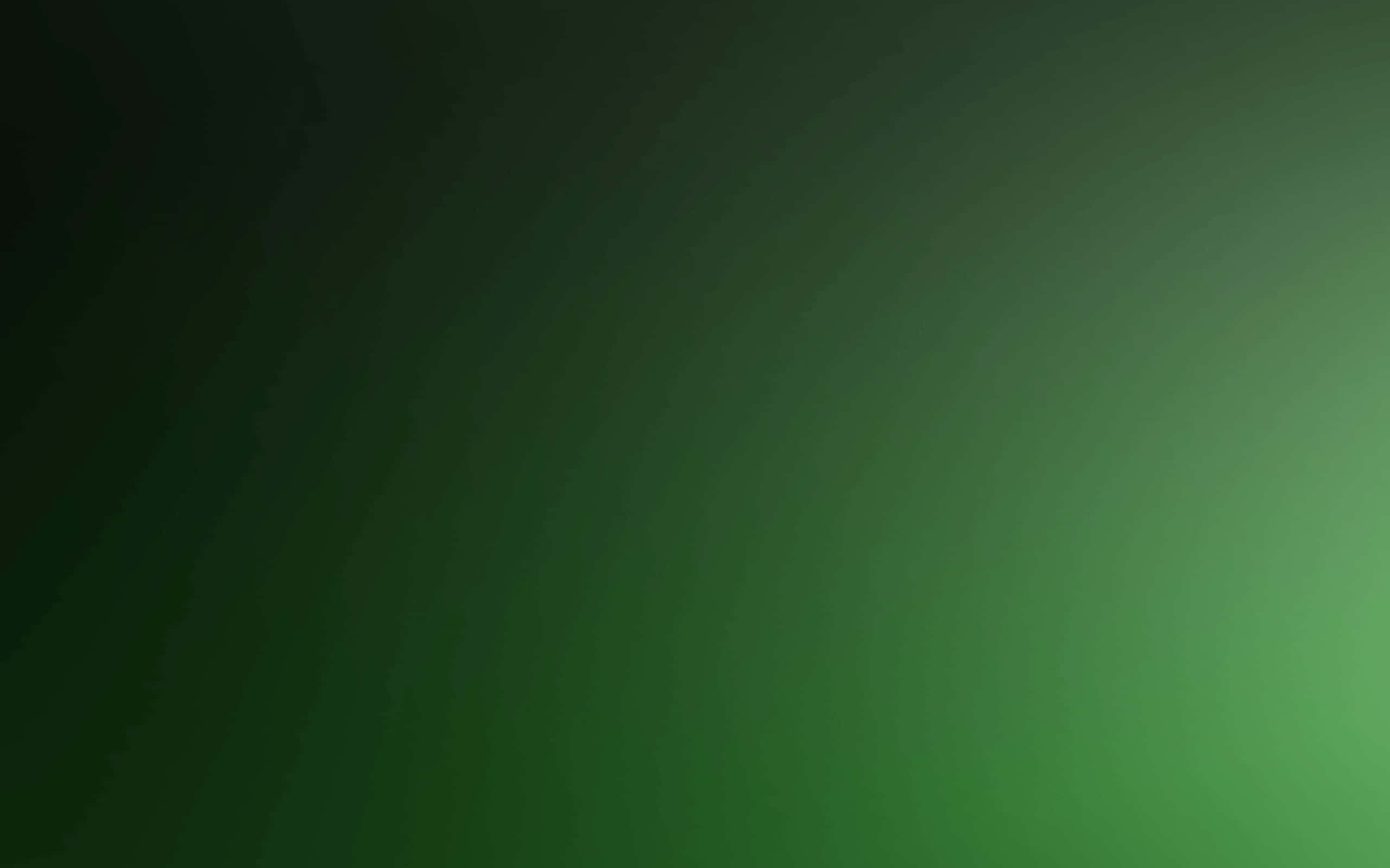 En dristig mørkegrøn ensfarvet baggrund Wallpapers