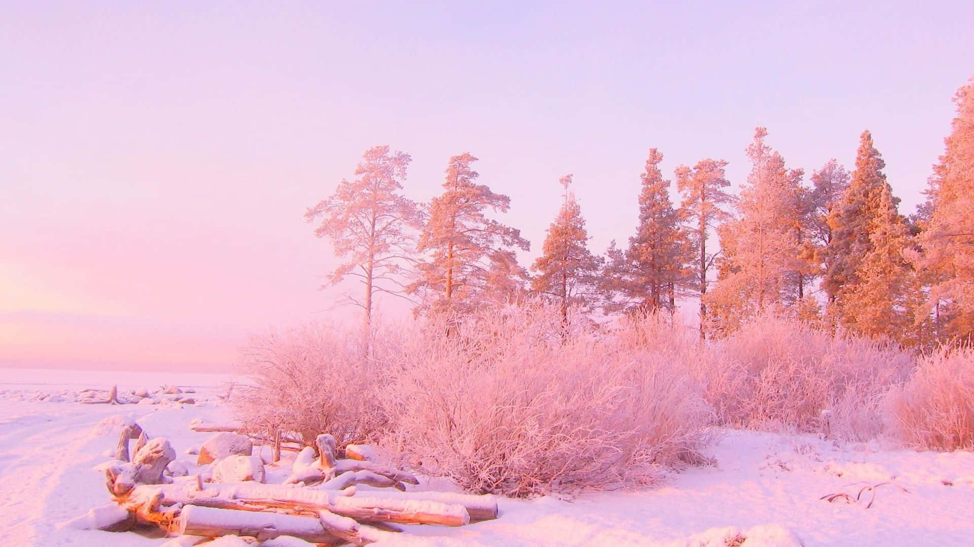 En drømmende lyserød æstetik Wallpapers