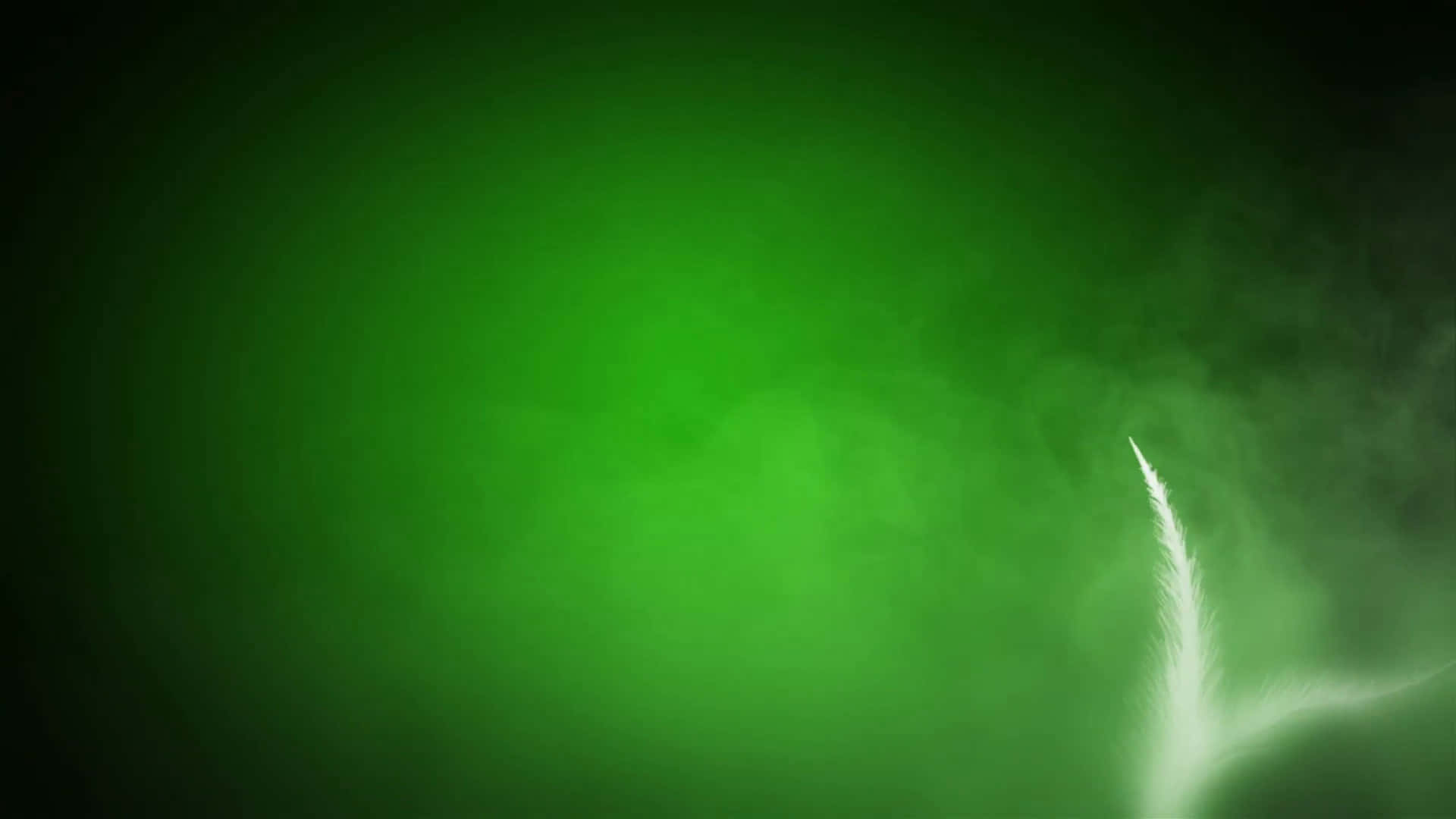 En dyb og rig mørkegrøn baggrund. Wallpapers