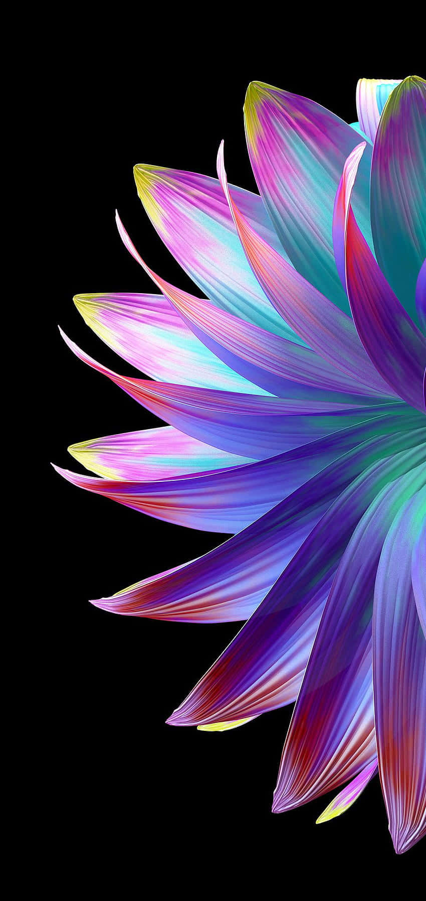 Farverig blomst på sort baggrund Wallpapers
